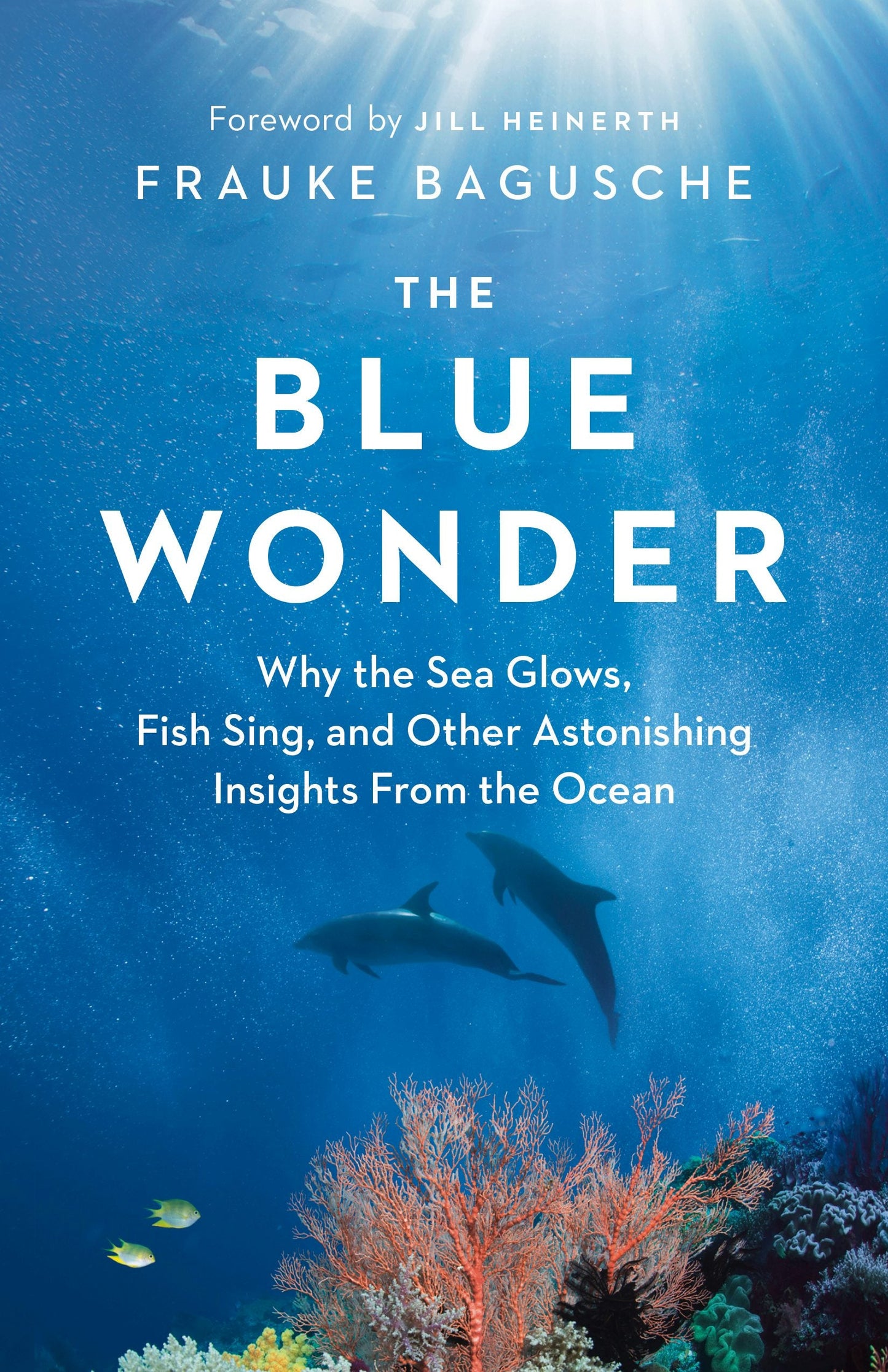 Book cover image for The Blue Wonder ISBN: 9781771646048