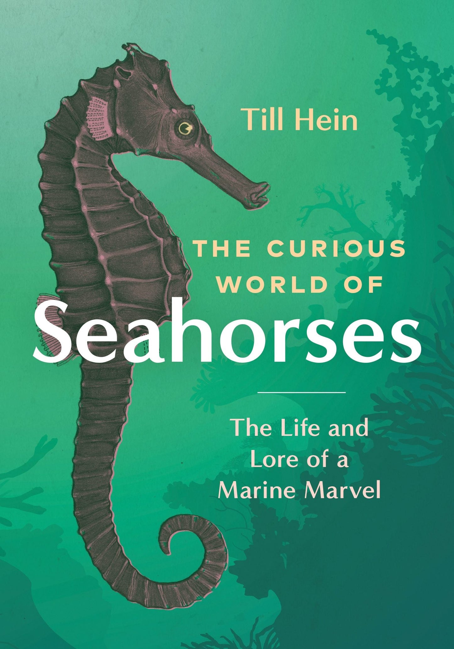 Book cover image for The Curious World of Seahorses ISBN: 9781771649889