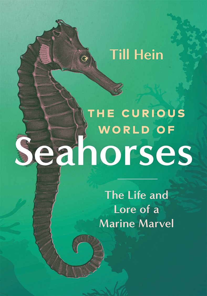 Book cover image for The Curious World of Seahorses ISBN: 9781771649896