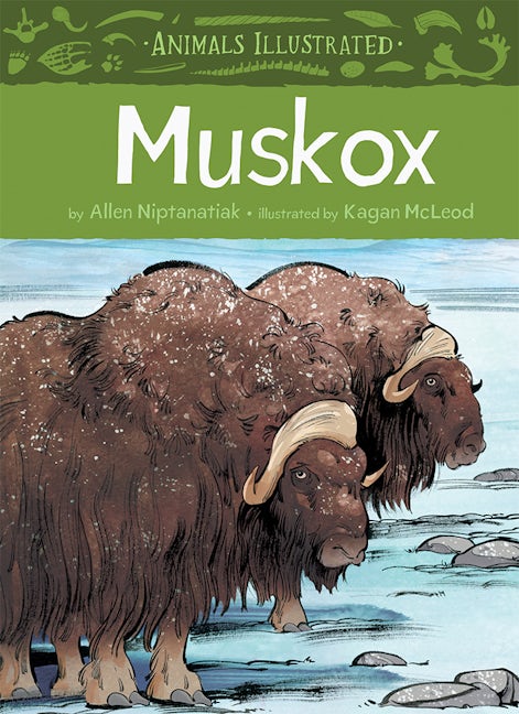 Book cover image for Animals Illustrated: Muskox ISBN: 9781772271225
