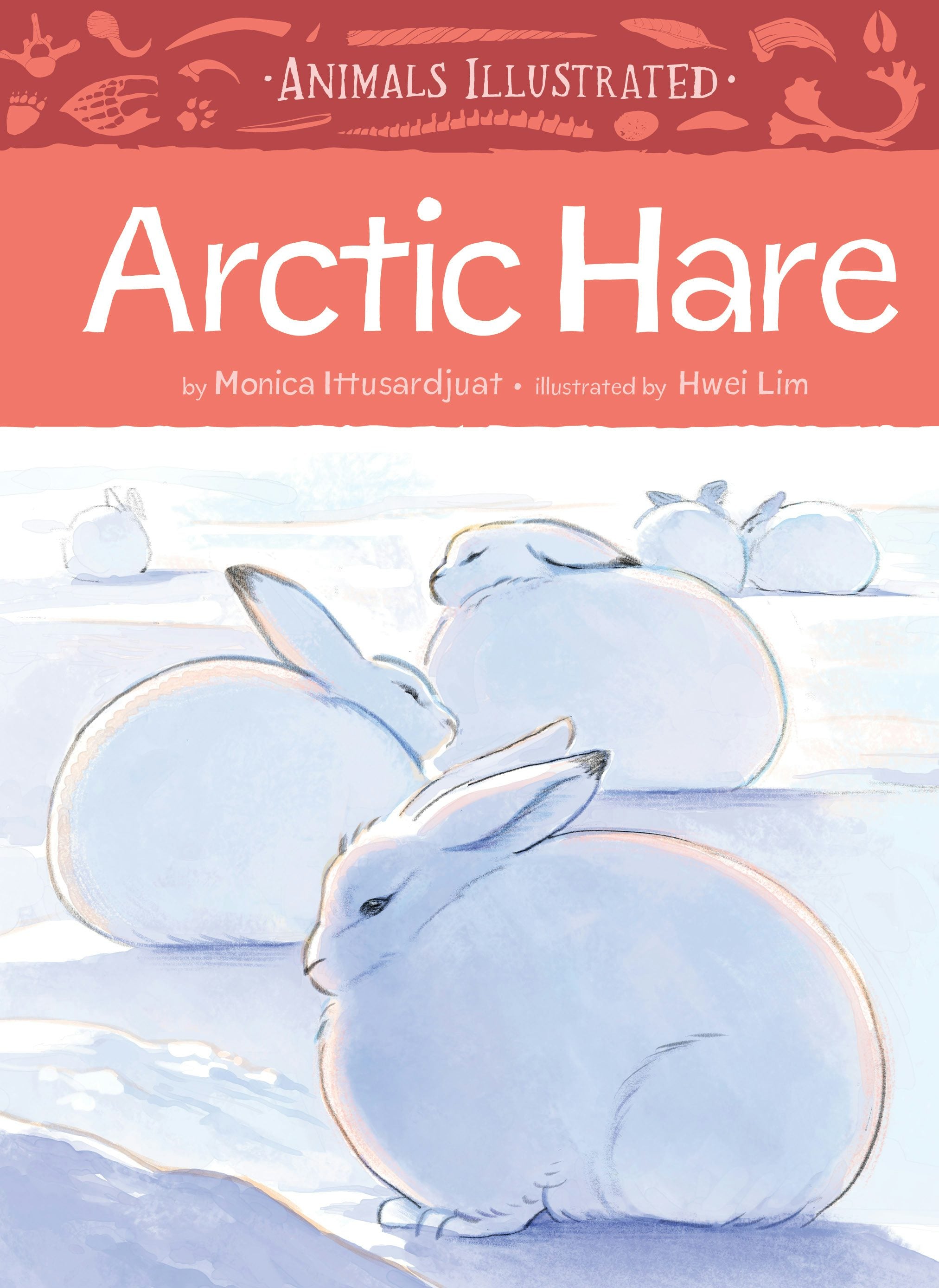 Book cover image for Animals Illustrated: Arctic Hare ISBN: 9781772276589