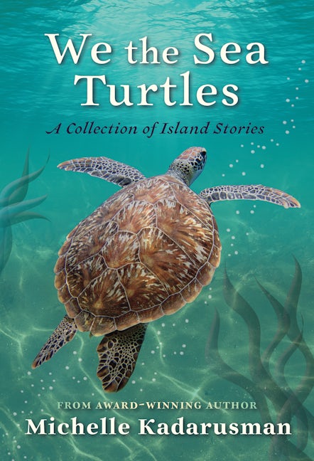 Book cover image for We the Sea Turtles ISBN: 9781772782851