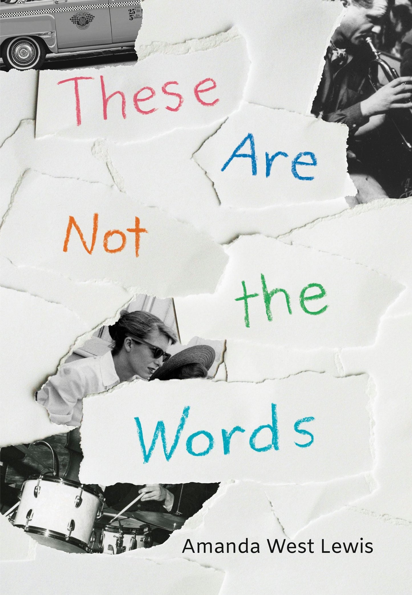 Book cover image for These Are Not the Words ISBN: 9781773067926