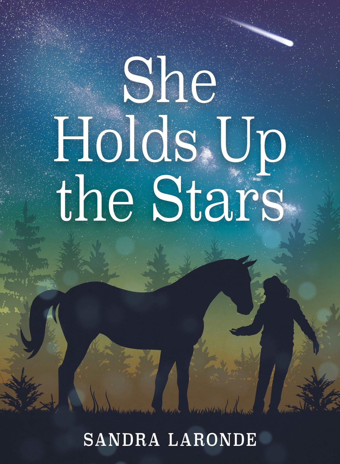 Book cover image for She Holds Up the Stars ISBN: 9781773210667