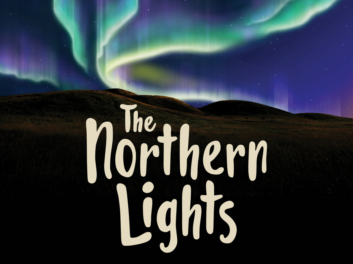 Cover image for The Northern Lights ISBN 9781774501849