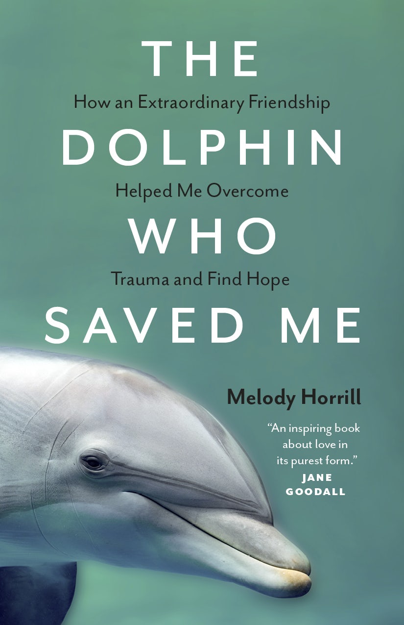 Book cover image for The Dolphin Who Saved Me ISBN: 9781778400537