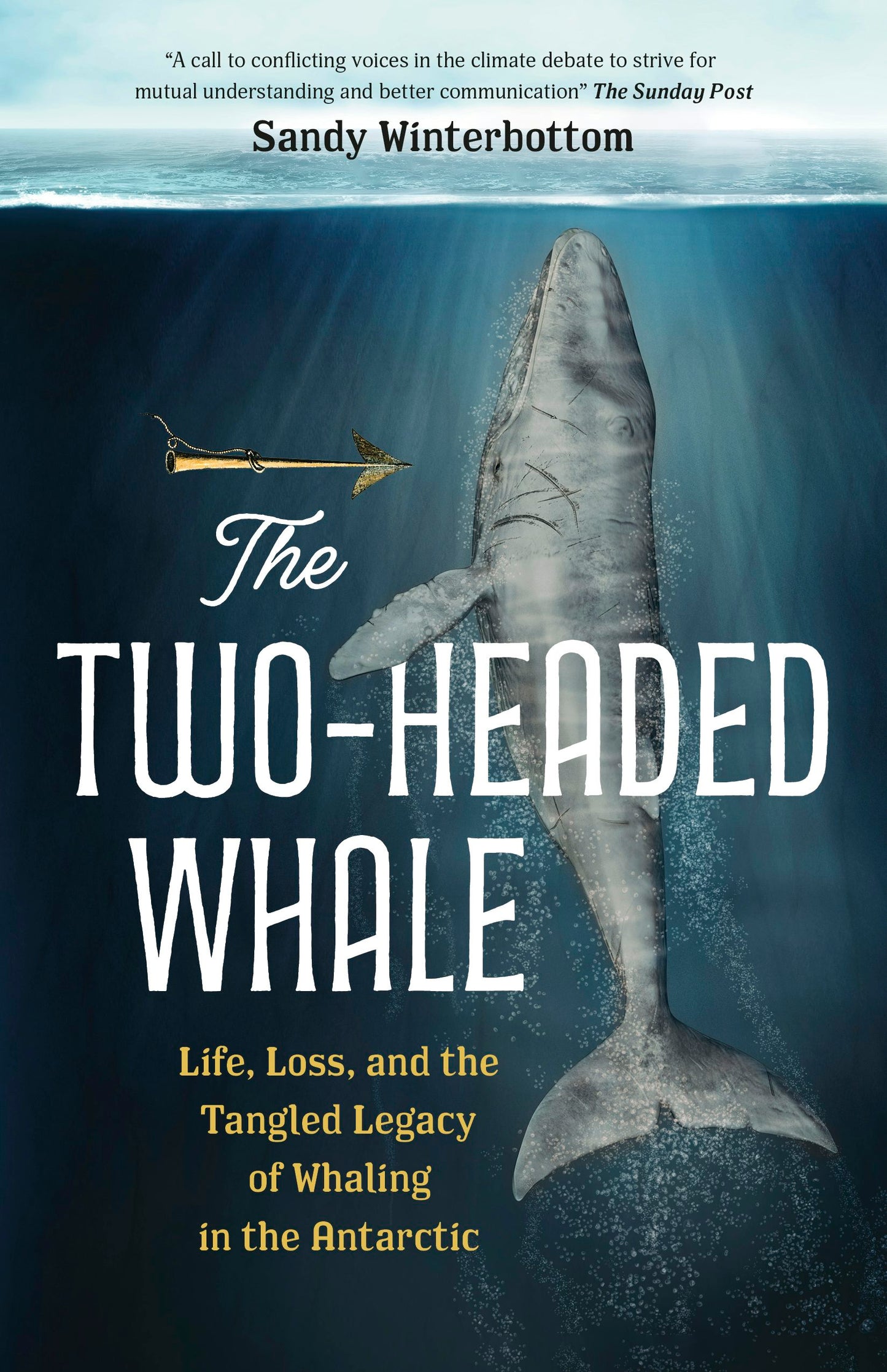 Book cover image for The Two-Headed Whale ISBN: 9781778400902