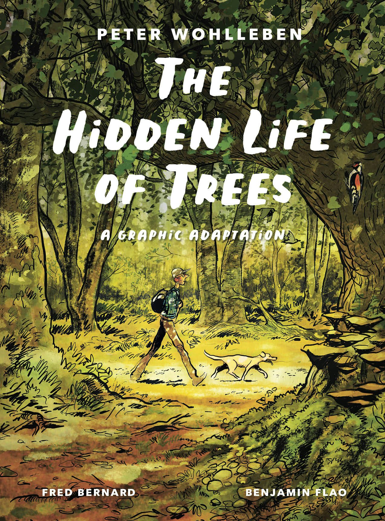 Book cover image for The Hidden Life of Trees: A Graphic Adaptation ISBN: 9781778401657