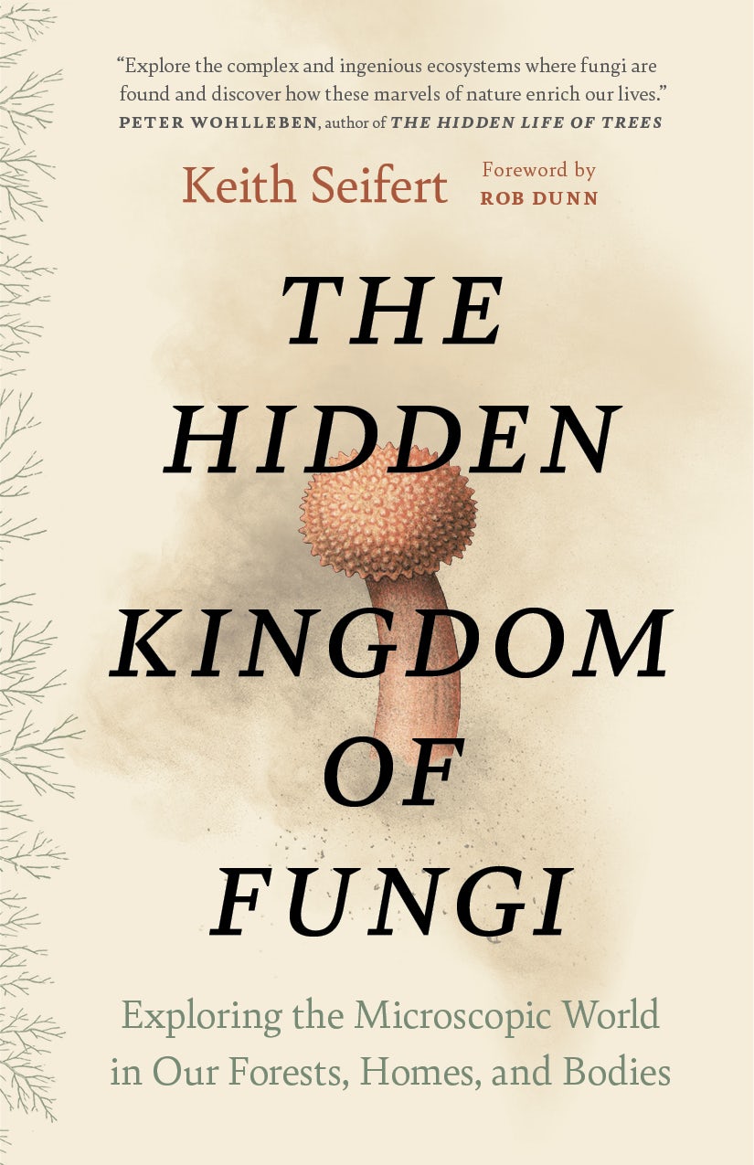 Book cover image for The Hidden Kingdom of Fungi ISBN: 9781778402111