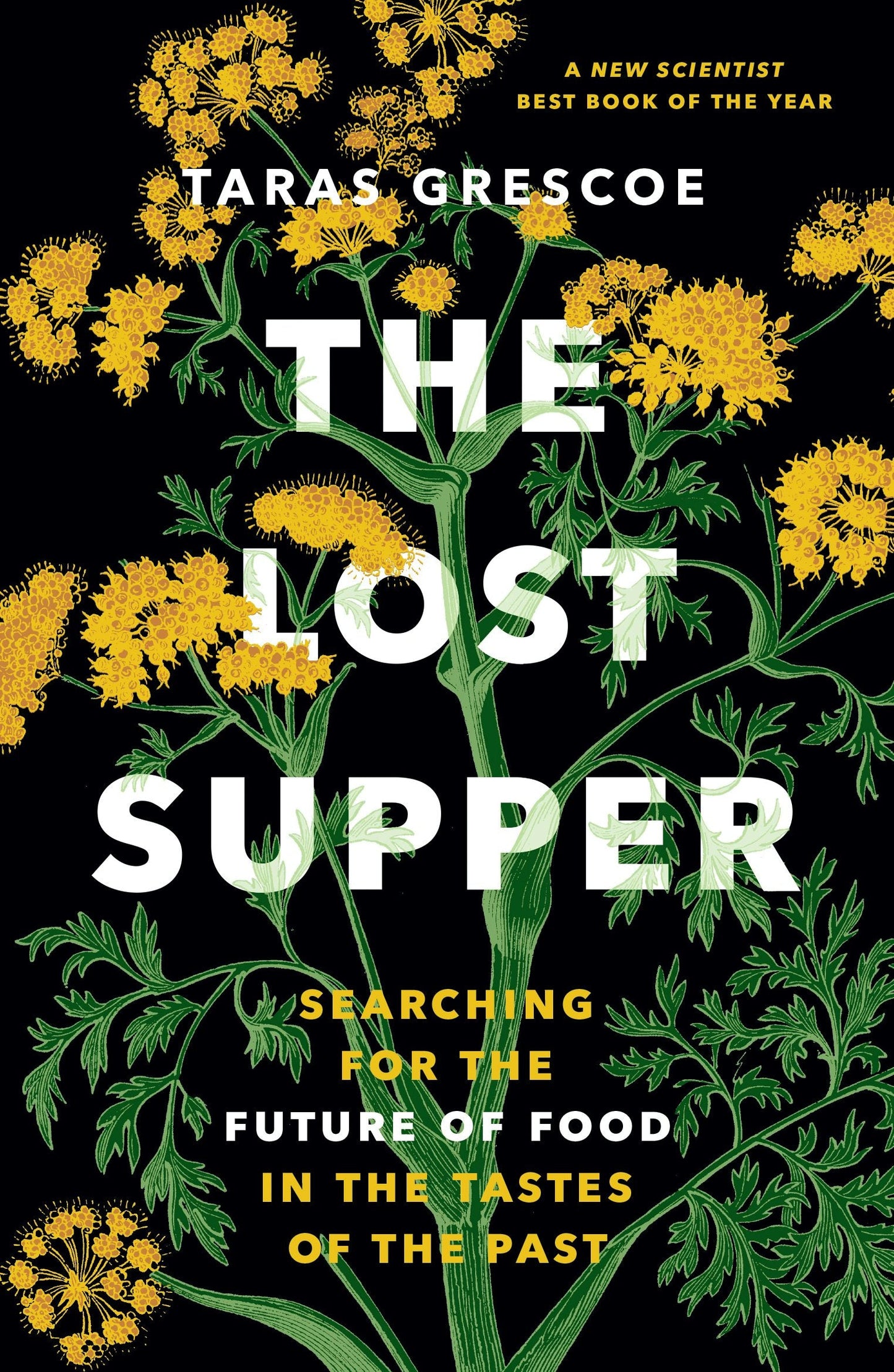 Book cover image for The Lost Supper ISBN: 9781778402128