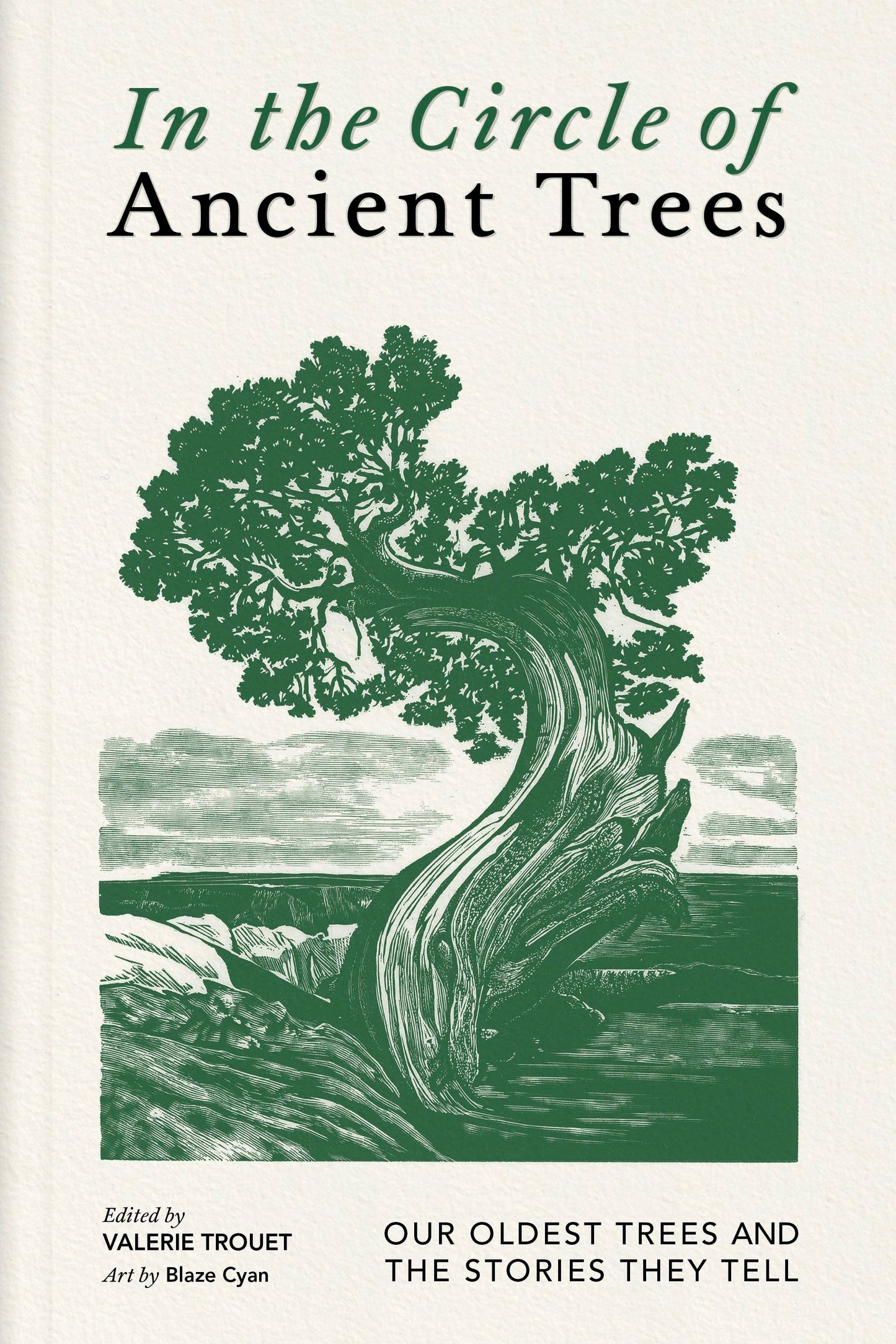 Book cover image for In the Circle of Ancient Trees ISBN: 9781778402692