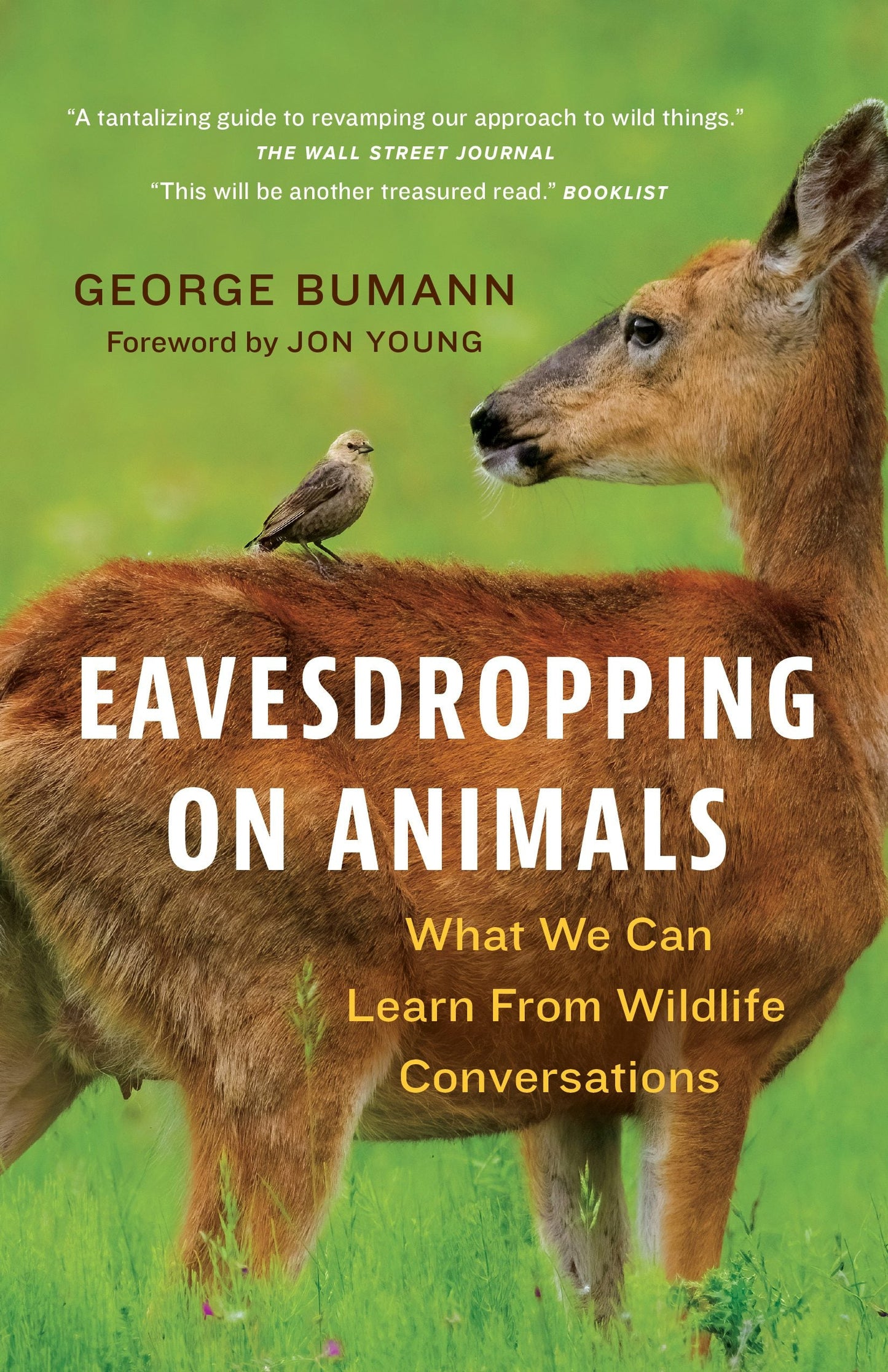 Book cover image for Eavesdropping on Animals ISBN: 9781778403316
