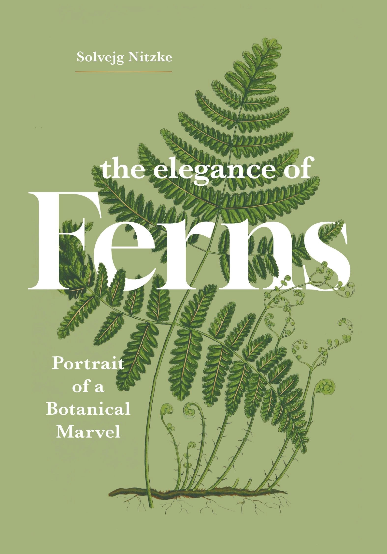 Book cover image for The Elegance of Ferns ISBN: 9781778403385