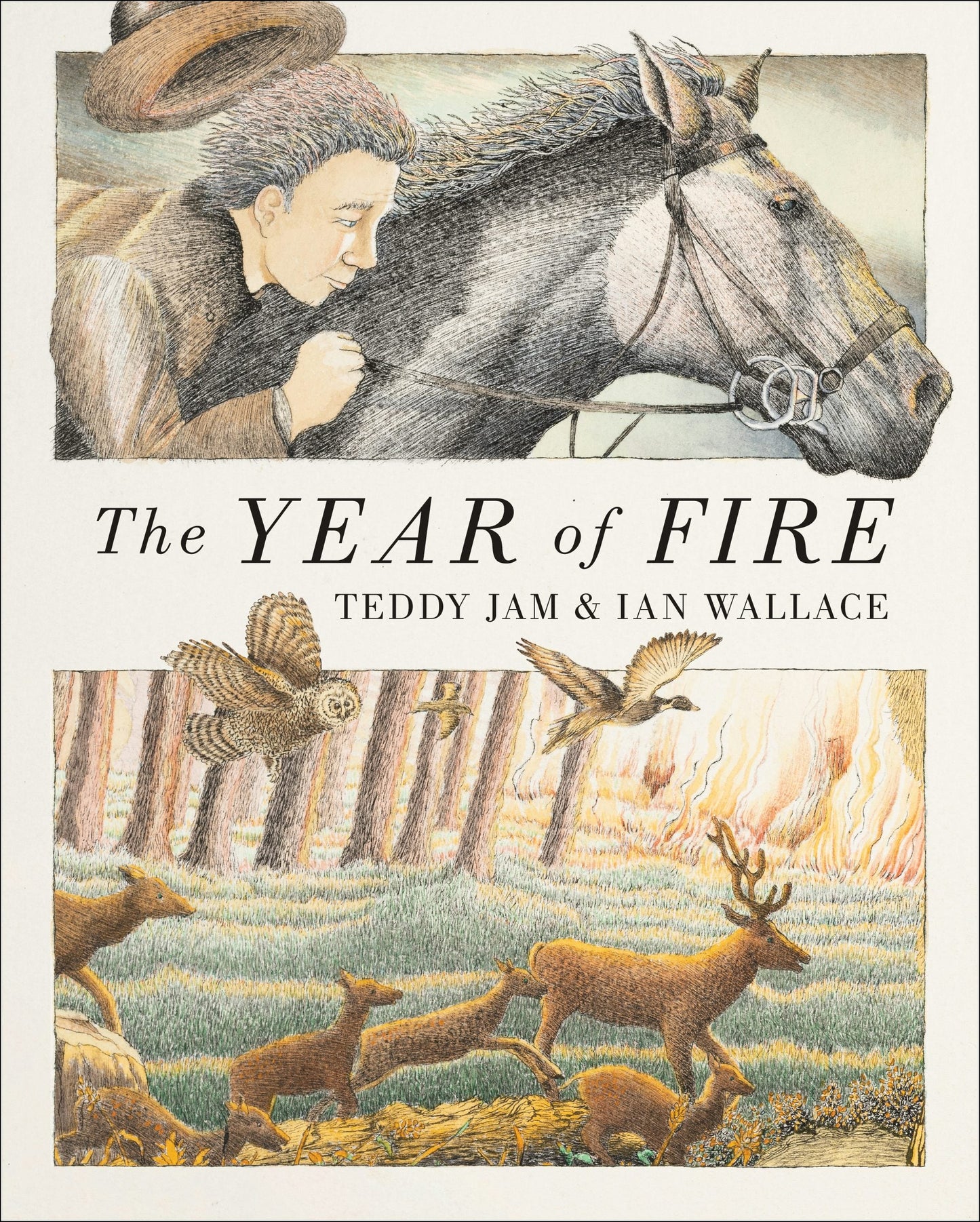 Book cover image for The Year of Fire ISBN: 9781779460547