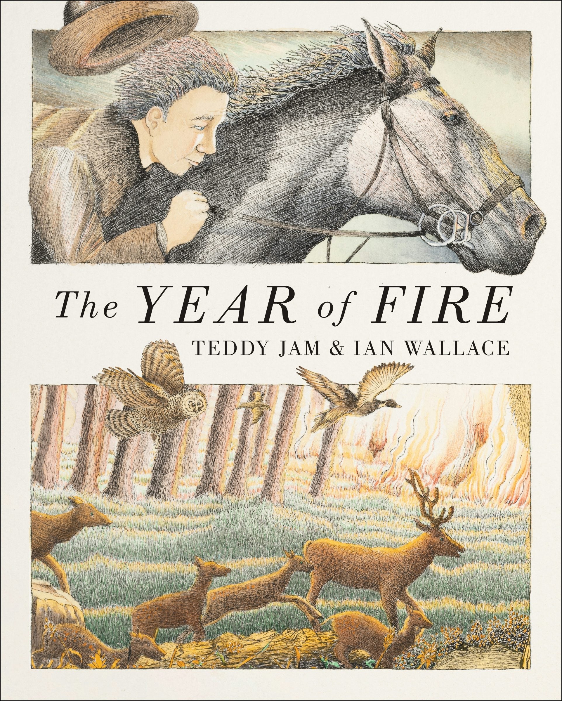 Book cover image for The Year of Fire ISBN: 9781779460547