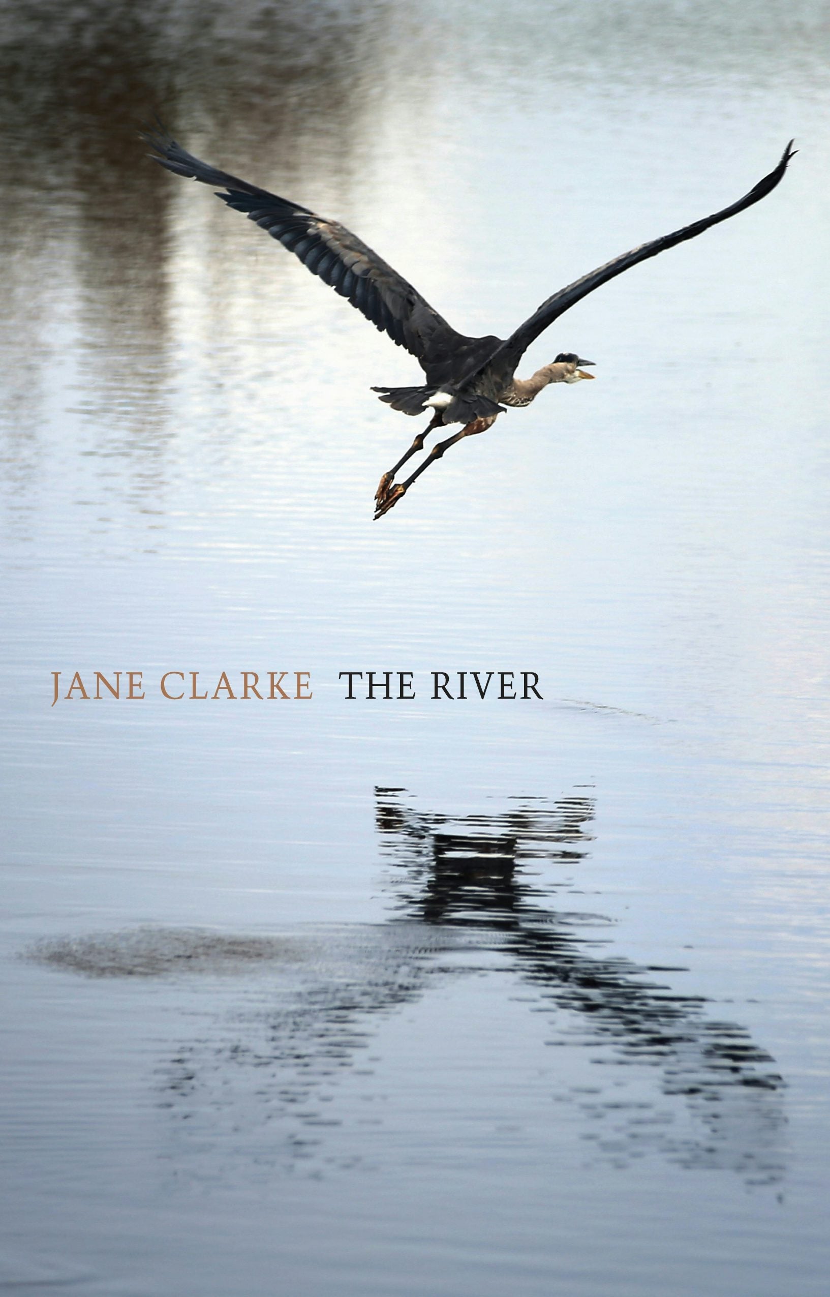 Book cover image for The River ISBN: 9781780372532