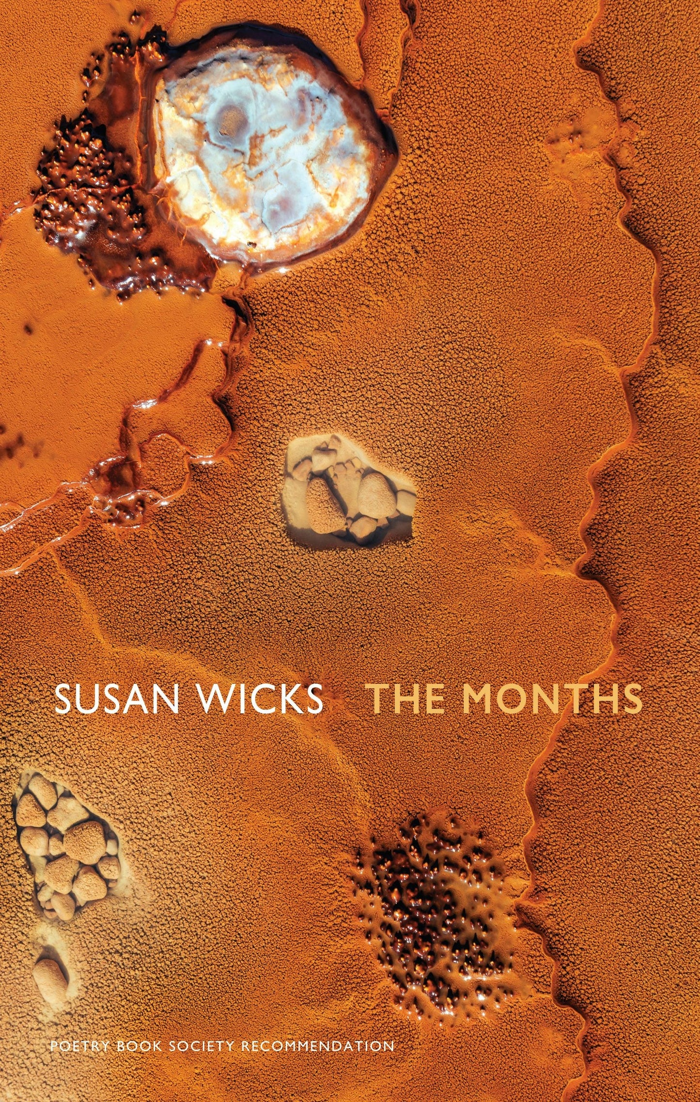 Book cover image for The Months ISBN: 9781780372907