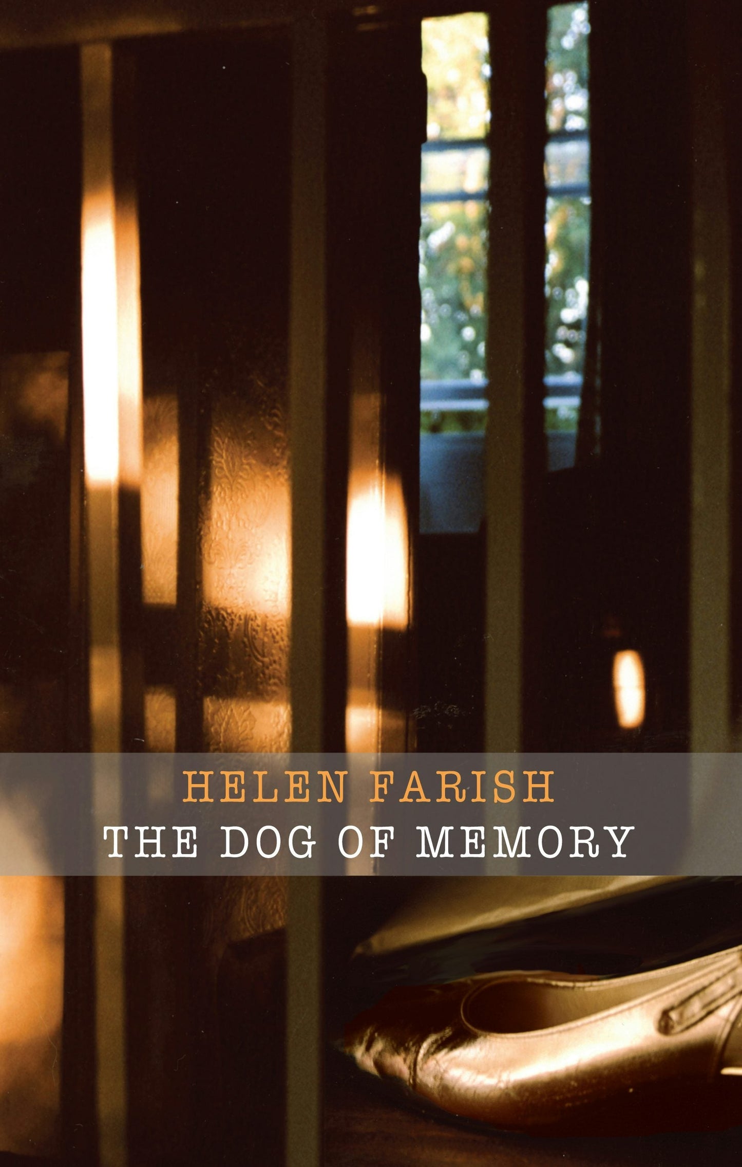 Book cover image for The Dog of Memory ISBN: 9781780373188