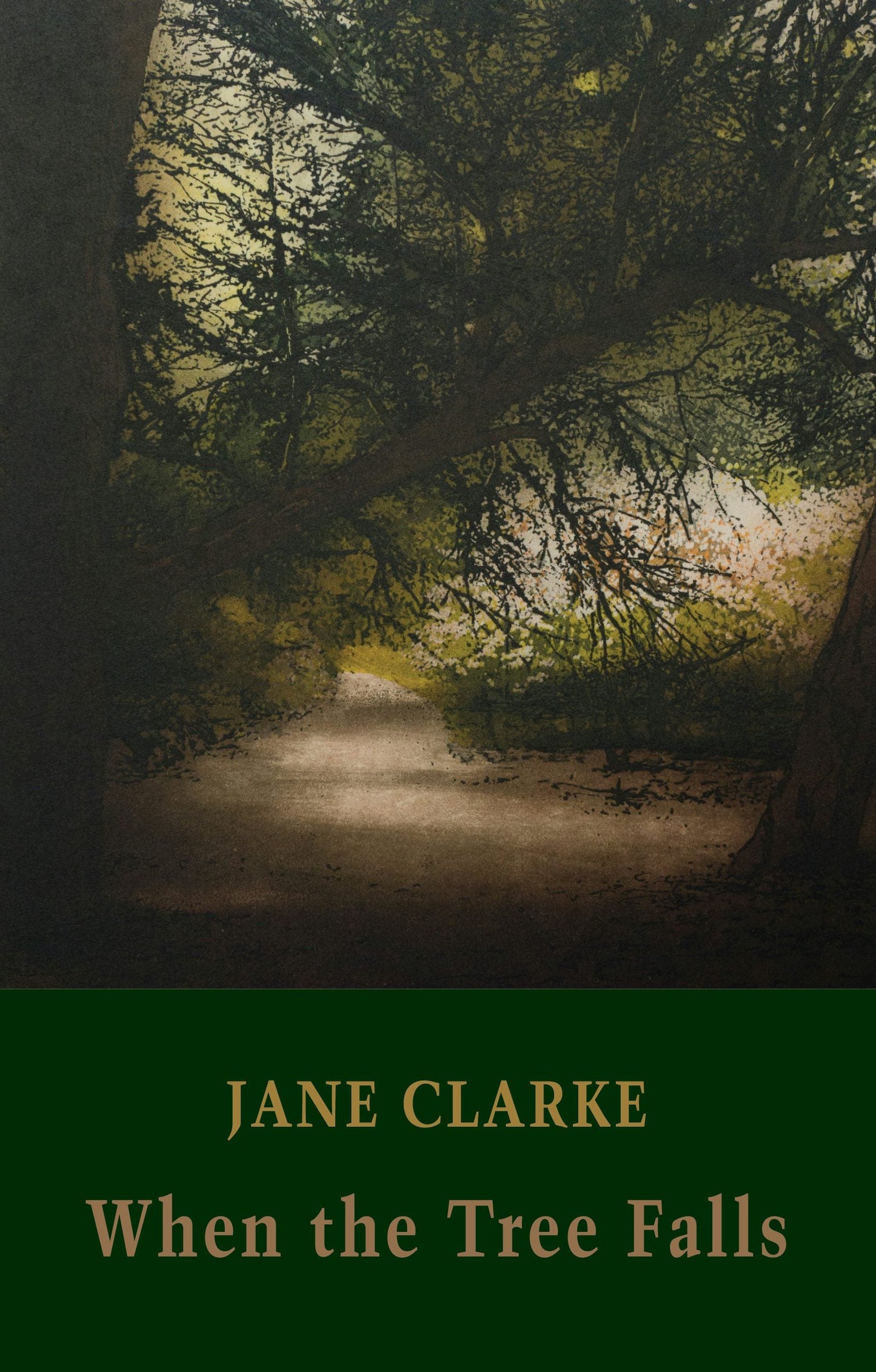 Book cover image for When the Tree Falls ISBN: 9781780374802