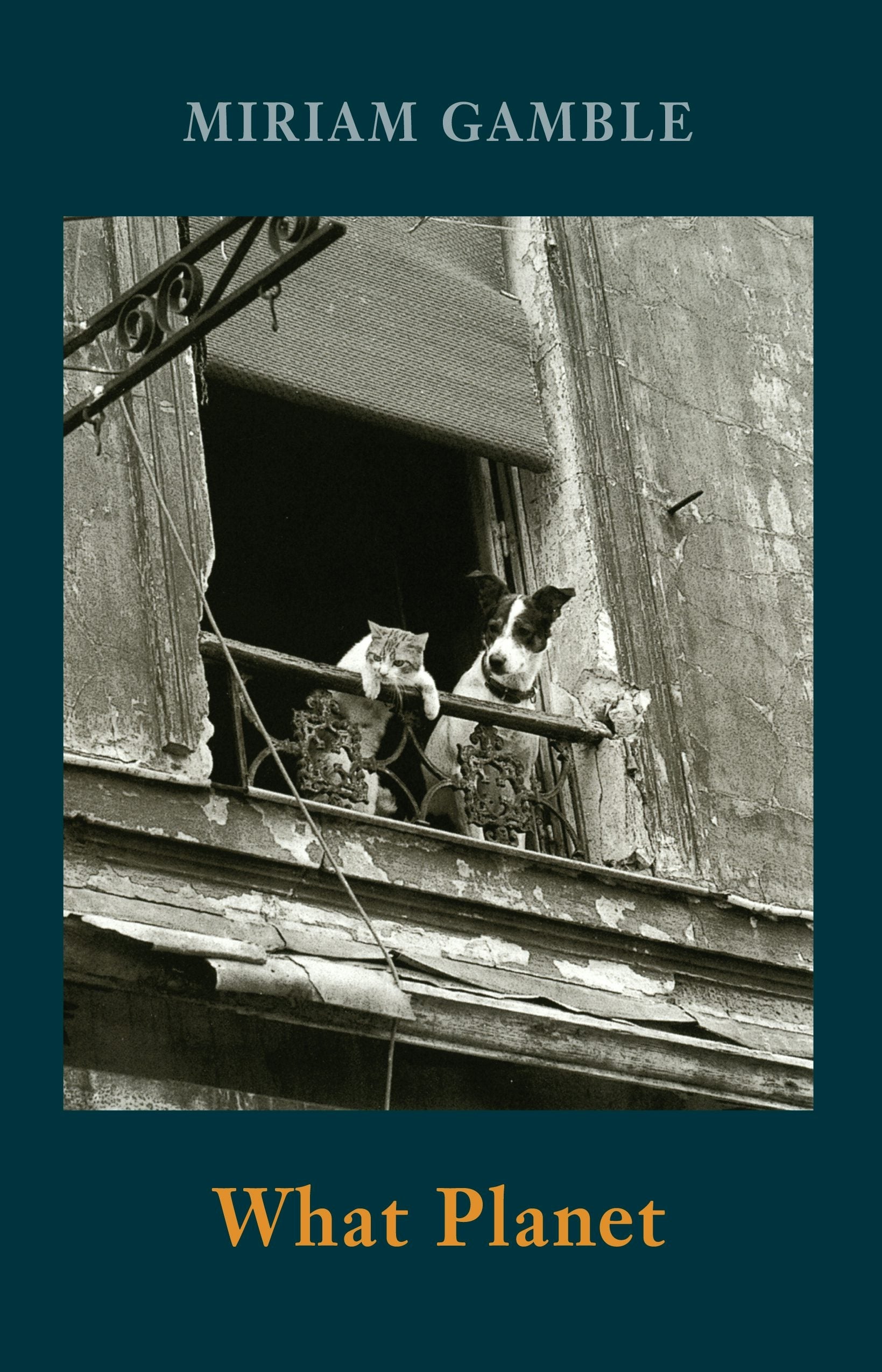Book cover image for What Planet ISBN: 9781780374840