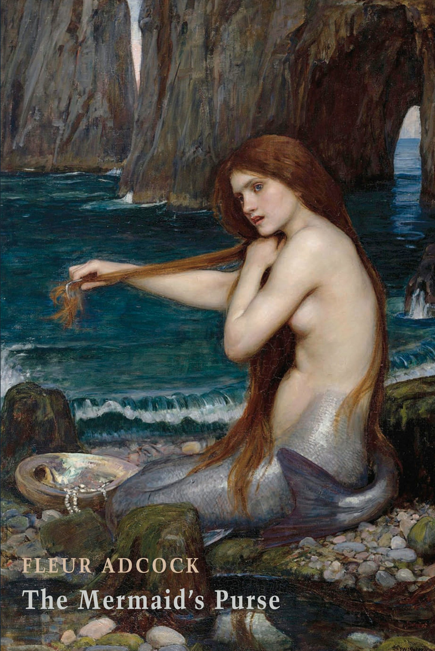 Book cover image for The Mermaid's Purse ISBN: 9781780375700