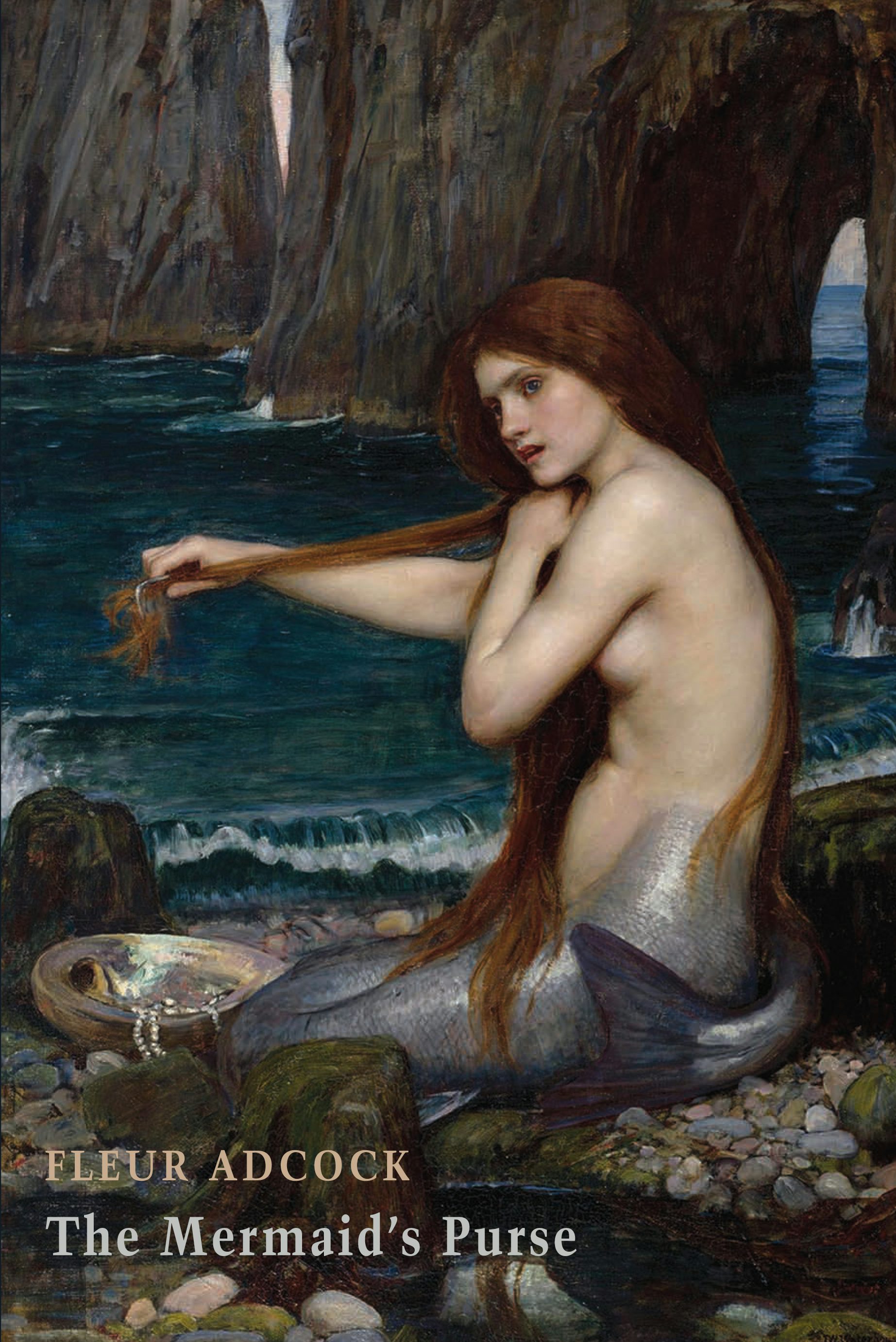 Book cover image for The Mermaid's Purse ISBN: 9781780375700