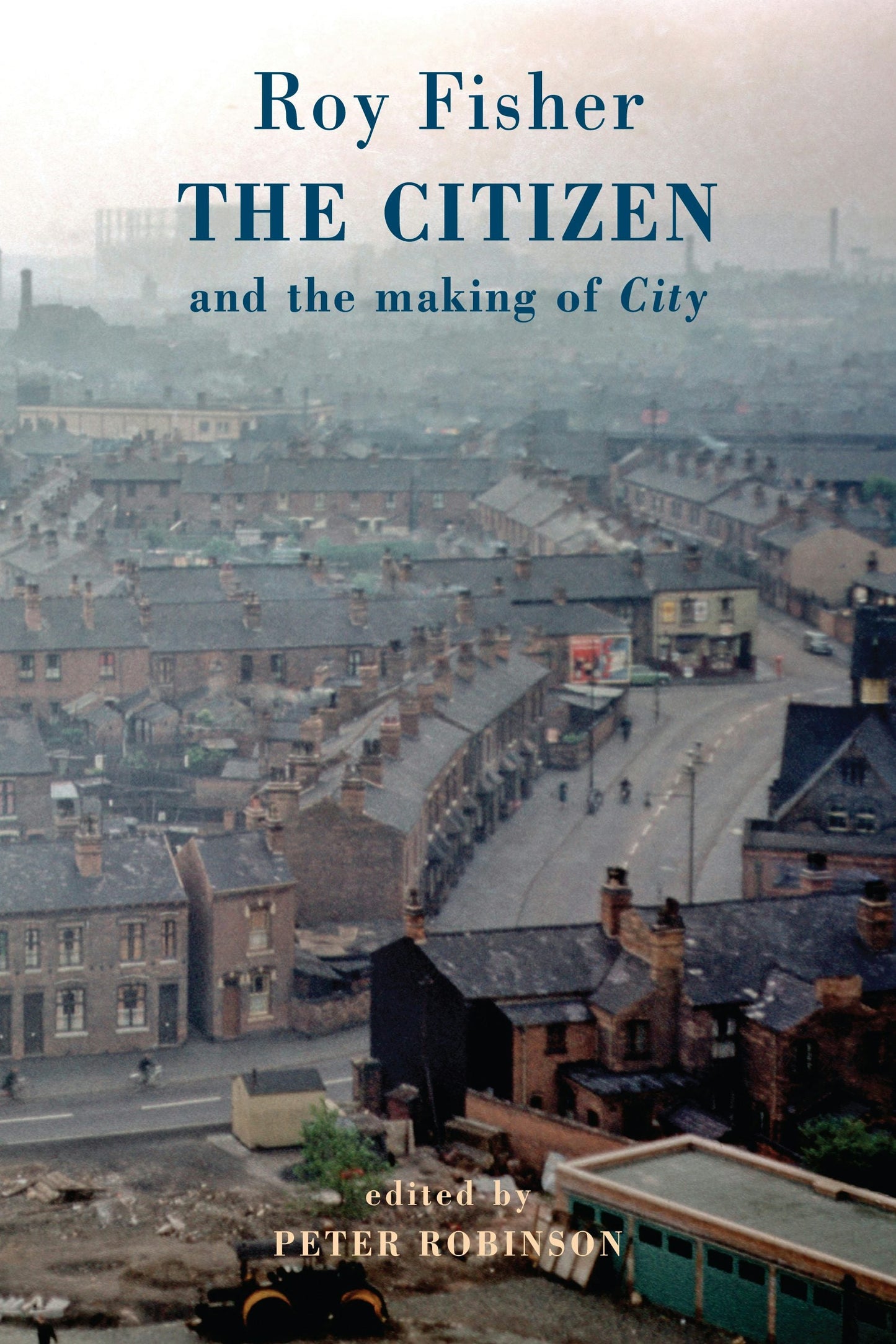 Book cover image for The Citizen ISBN: 9781780375960