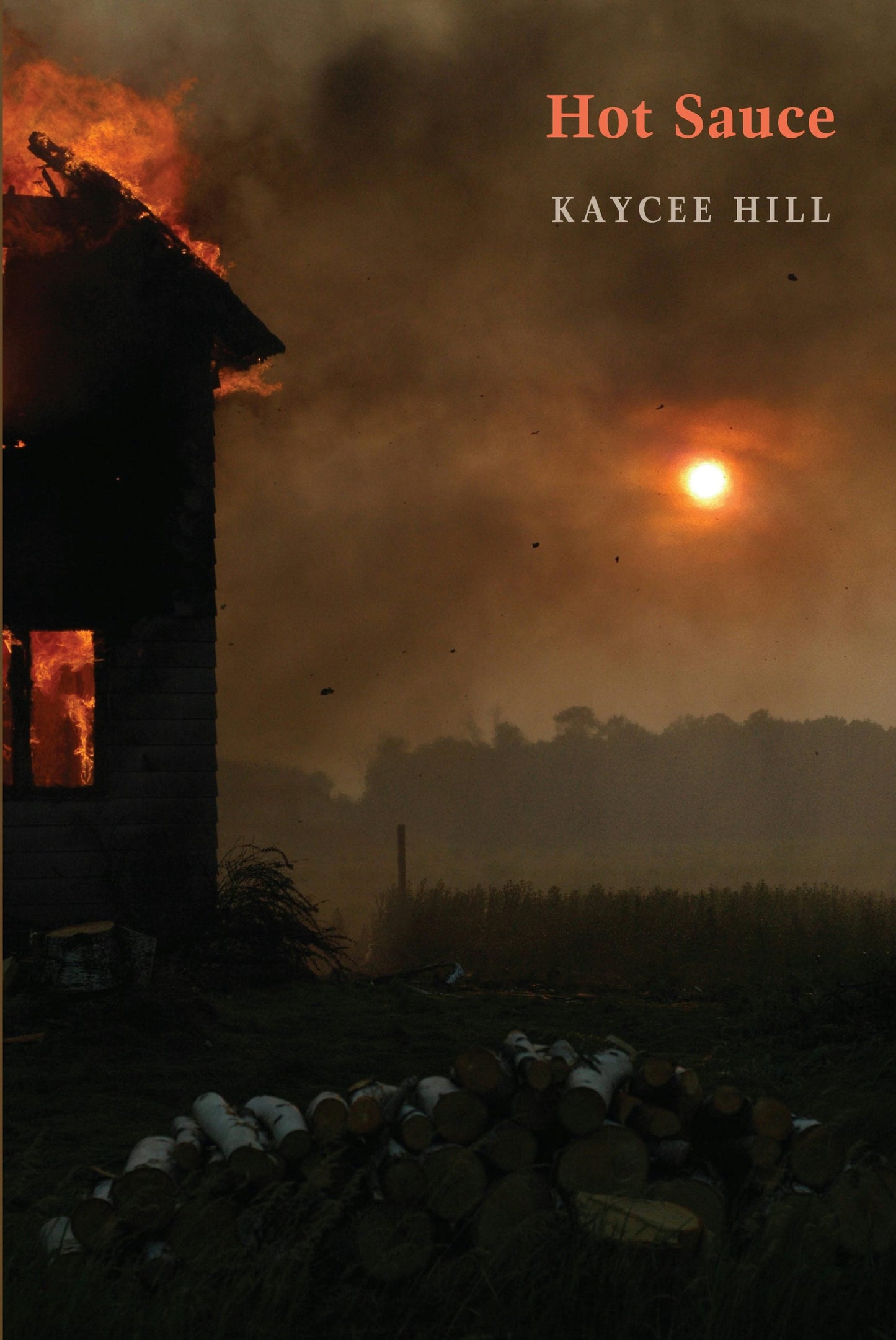 Book cover image for Hot Sauce ISBN: 9781780376370