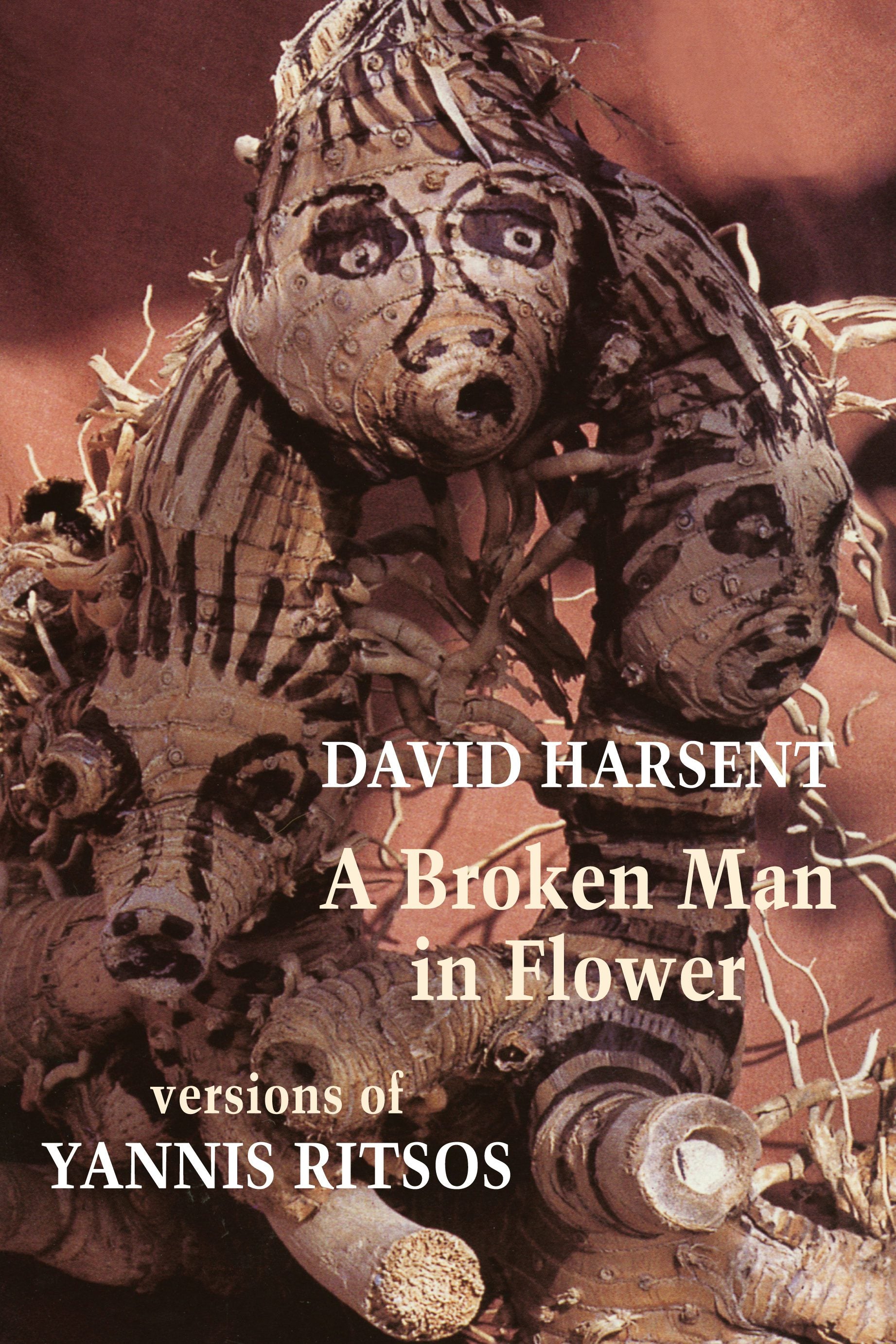 Book cover image for A Broken Man in Flower ISBN: 9781780376493