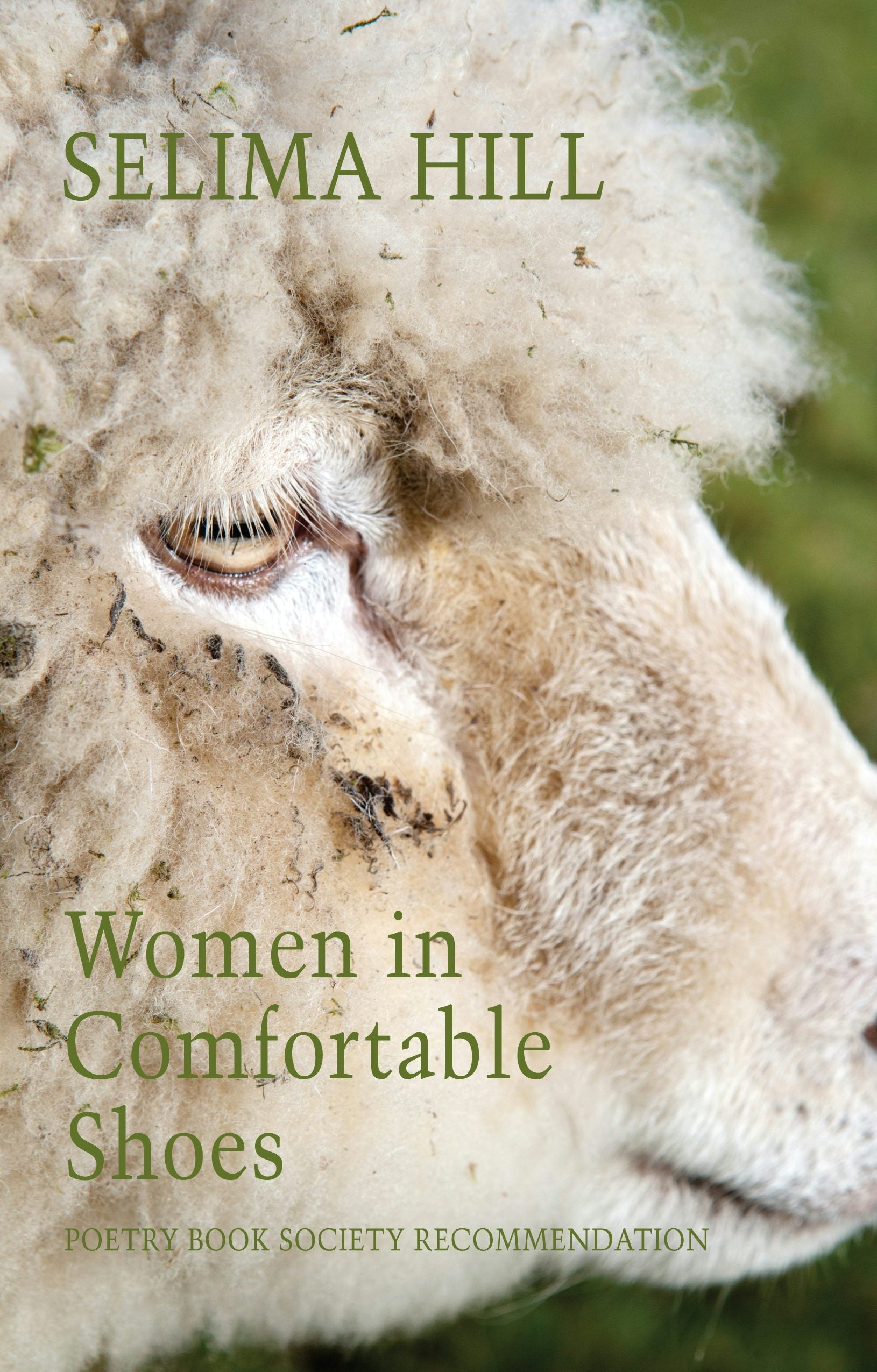 Book cover image for Women in Comfortable Shoes ISBN: 9781780376677