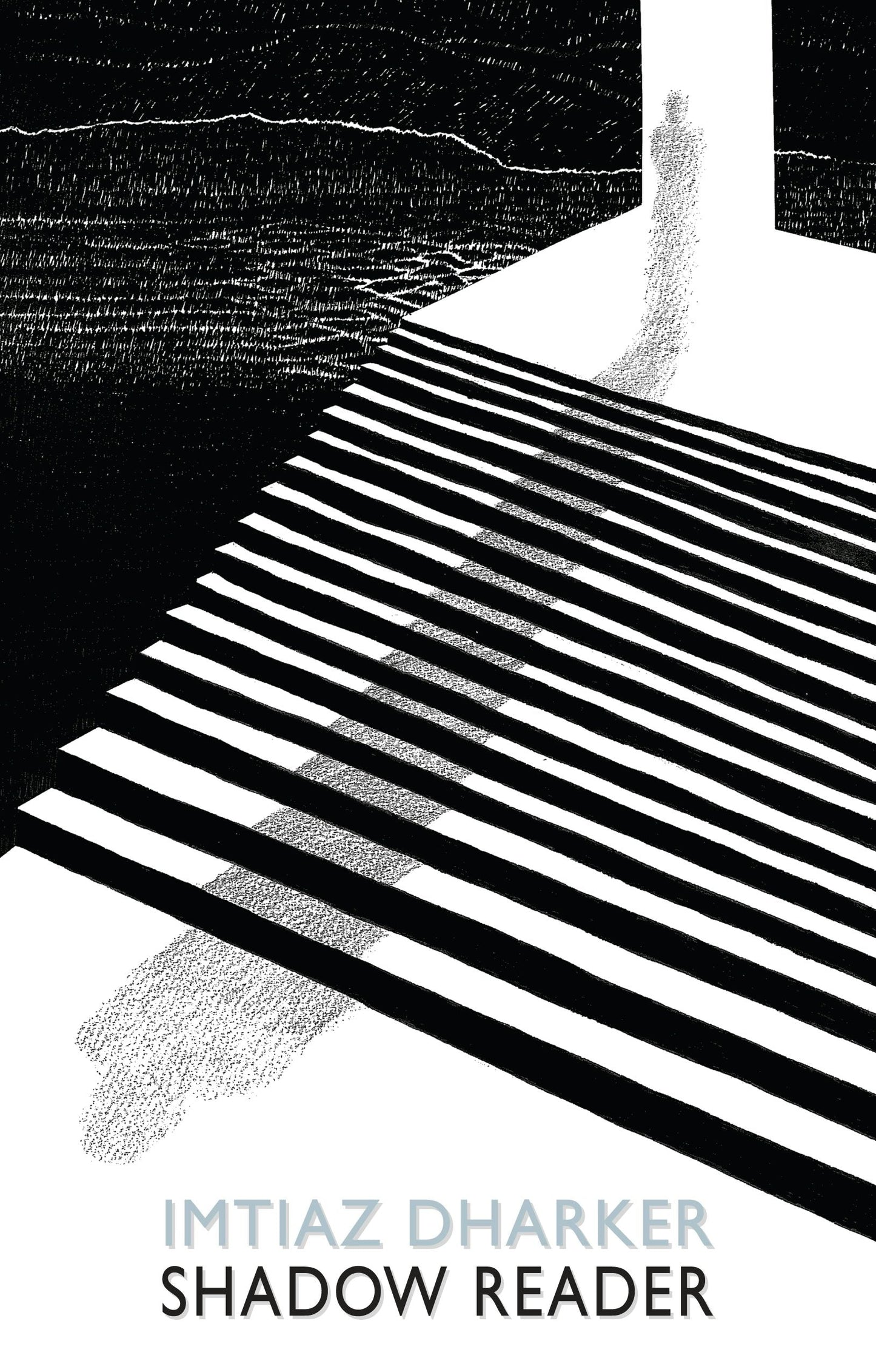 Book cover image for Shadow Reader ISBN: 9781780377094