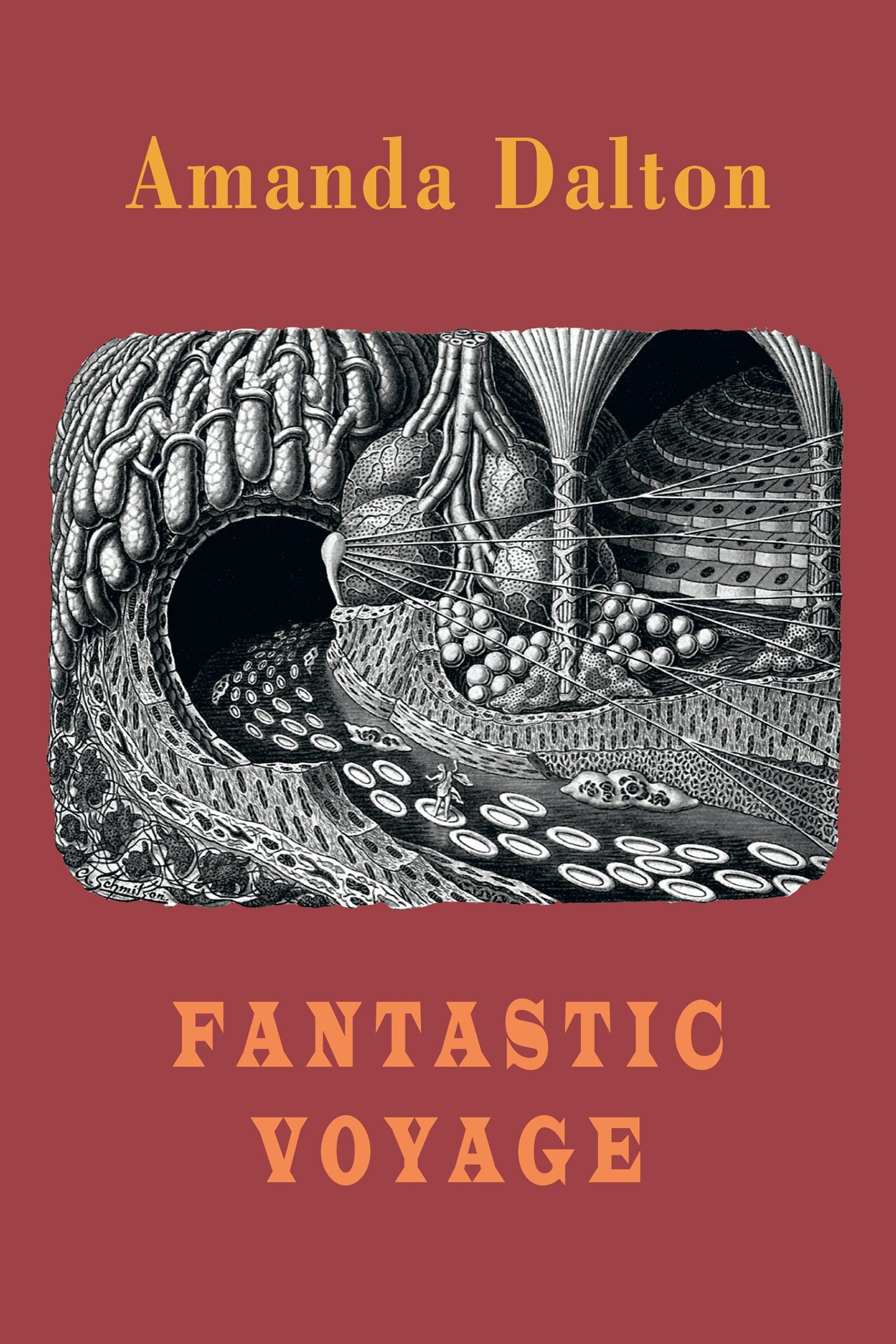 Book cover image for Fantastic Voyage ISBN: 9781780377117
