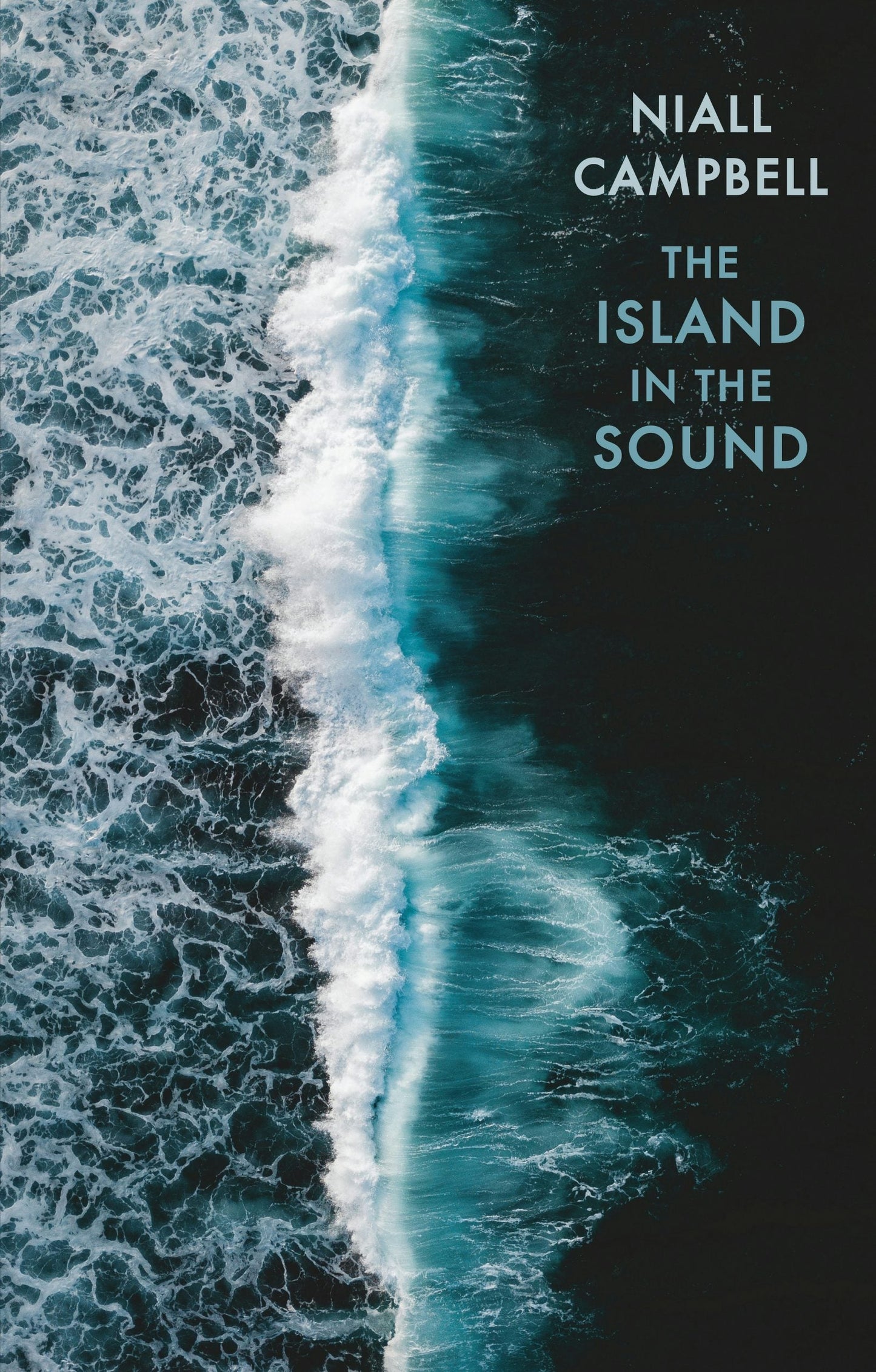 Book cover image for The Island in the Sound ISBN: 9781780377216
