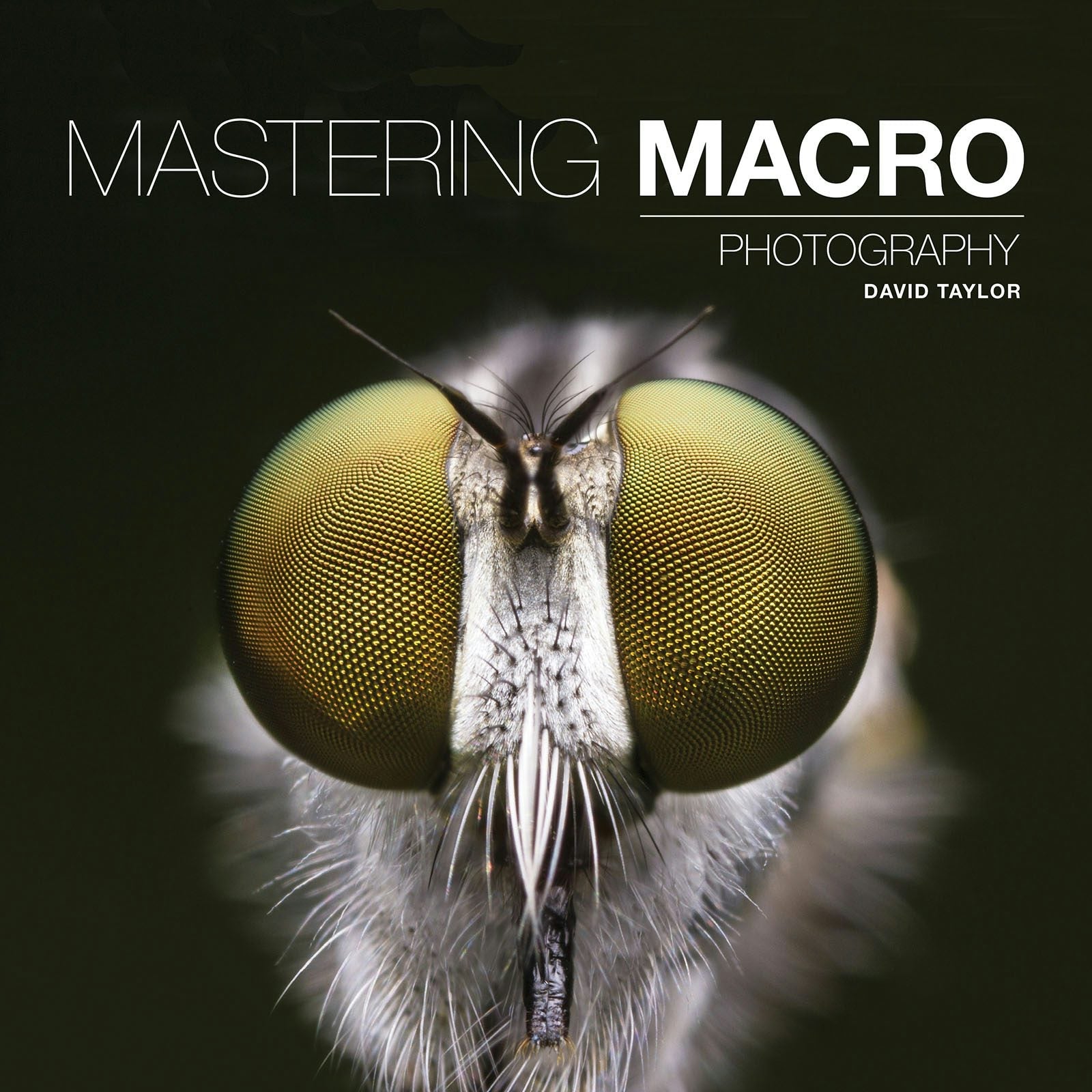 Book cover image for Mastering Macro Photography ISBN: 9781781452998