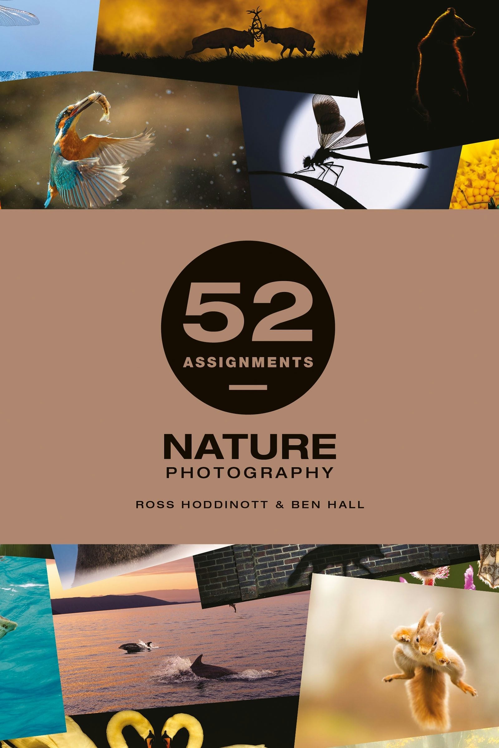 Book cover image for 52 Assignments: Nature Photography ISBN: 9781781454053