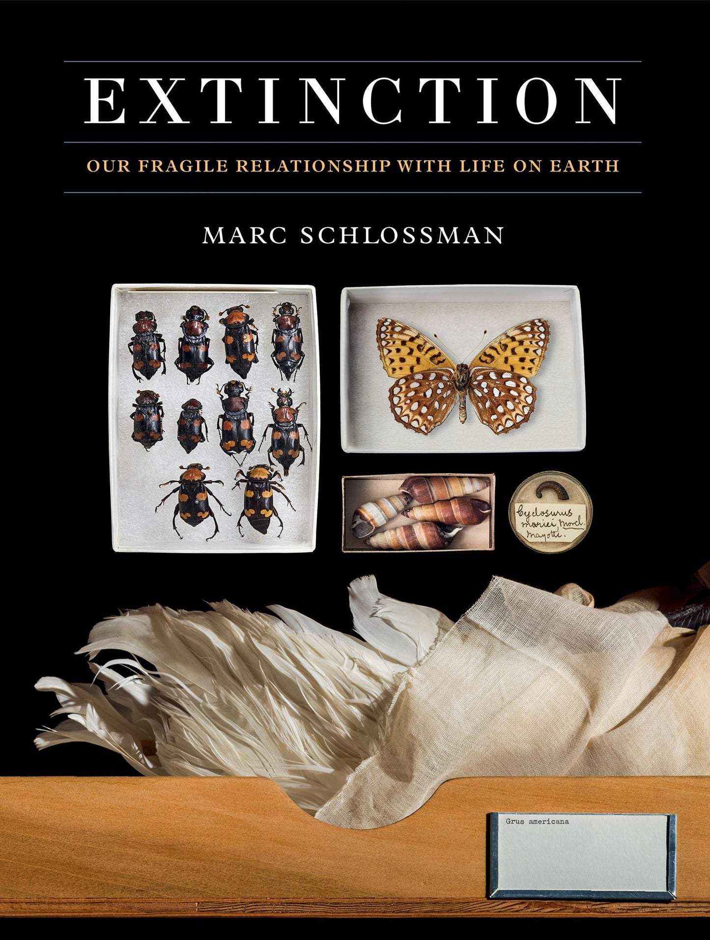 Book cover image for Extinction ISBN: 9781781454534