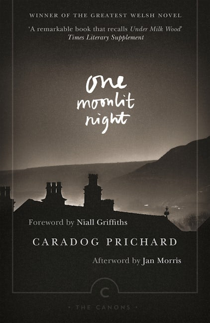 Book cover image for One Moonlit Night ISBN: 9781782116769
