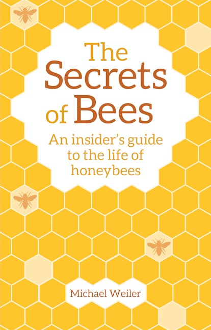 Book cover image for The Secrets of Bees ISBN: 9781782505808