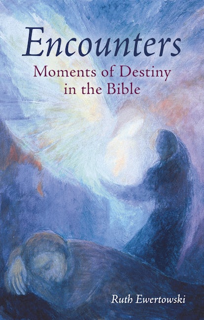Book cover image for Encounters: Moments of Destiny in the Bible ISBN: 9781782508687