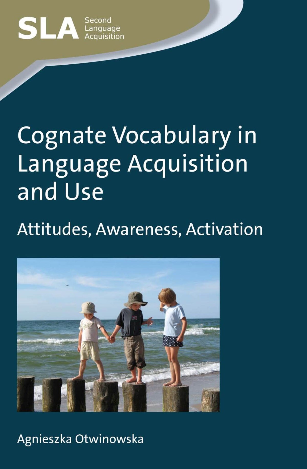 Cover image for Cognate Vocabulary in Language Acquisition and Use ISBN 9781783094370