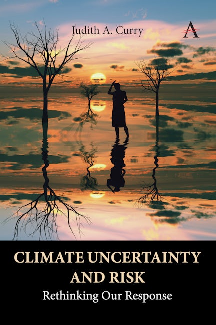 Book cover image for Climate Uncertainty and Risk ISBN: 9781785278167