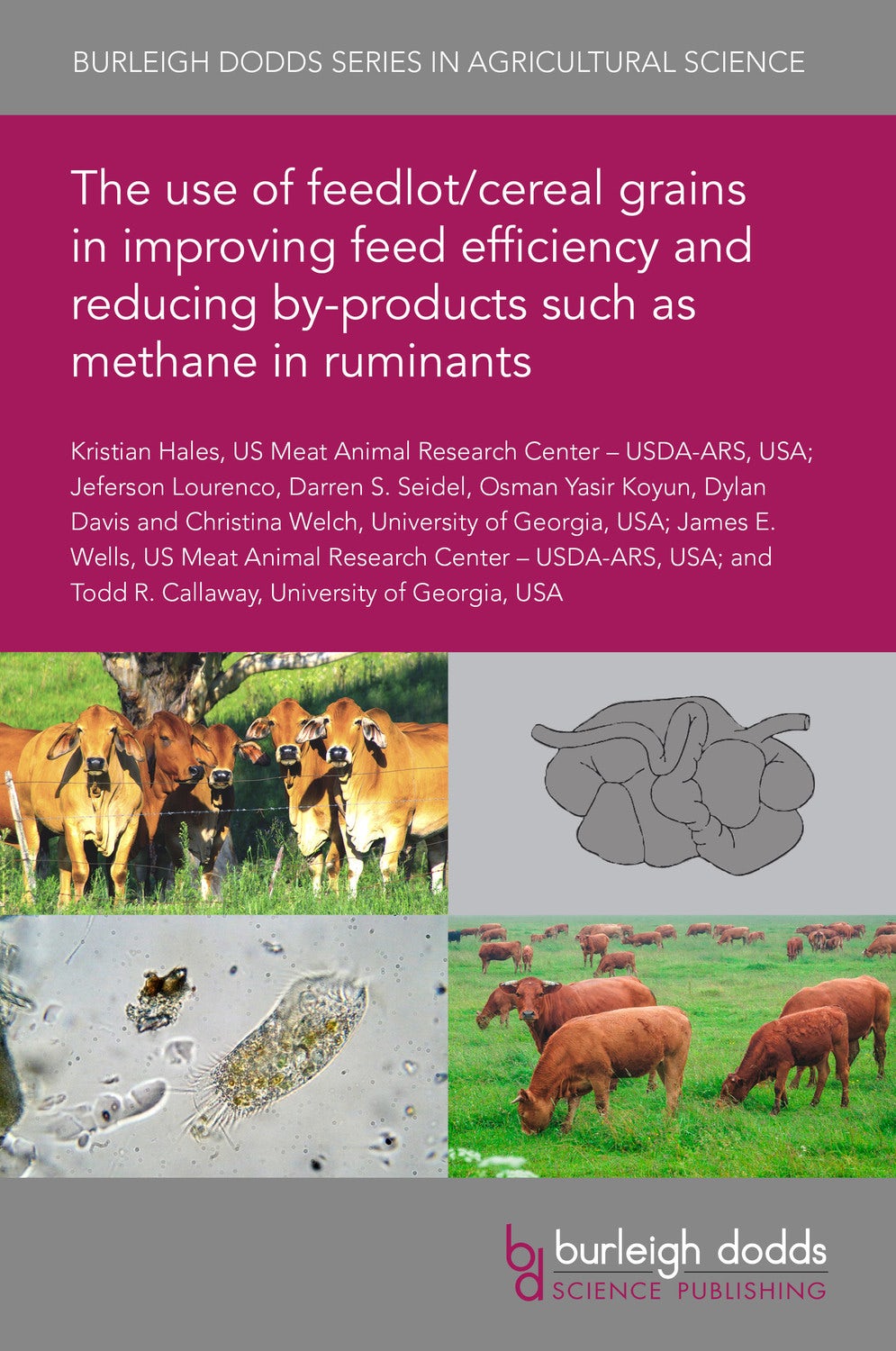 Book cover image for The use of feedlot/cereal grains in improving feed efficiency and reducing by-products such as methane in ruminants ISBN: 9781786768094
