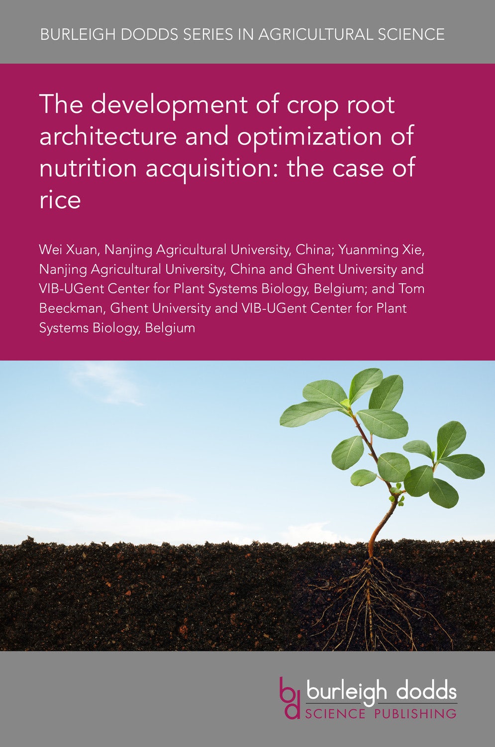 Book cover image for The development of crop root architecture and optimization of nutrition acquisition: the case of rice ISBN: 9781786769909