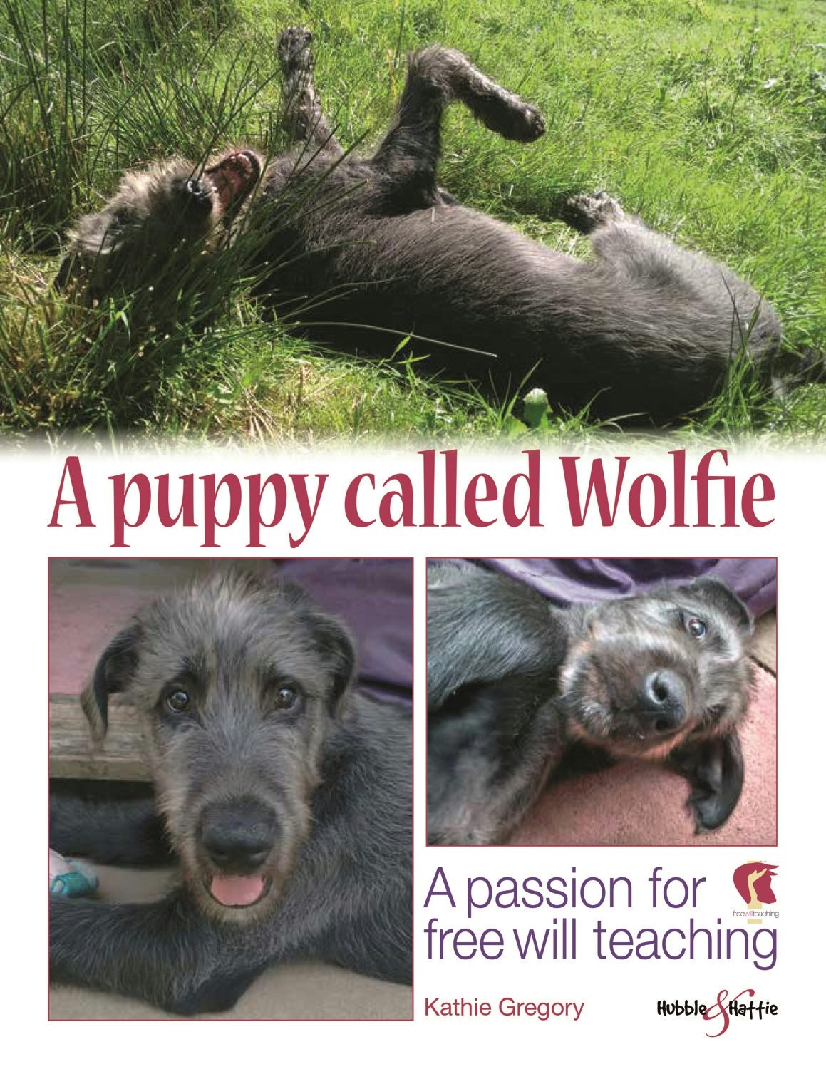 Book cover image for A puppy called Wolfie ISBN: 9781787110700