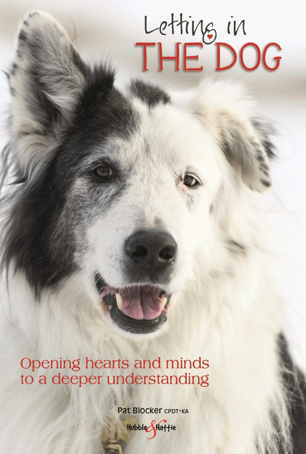 Book cover image for Letting in the dog ISBN: 9781787113053