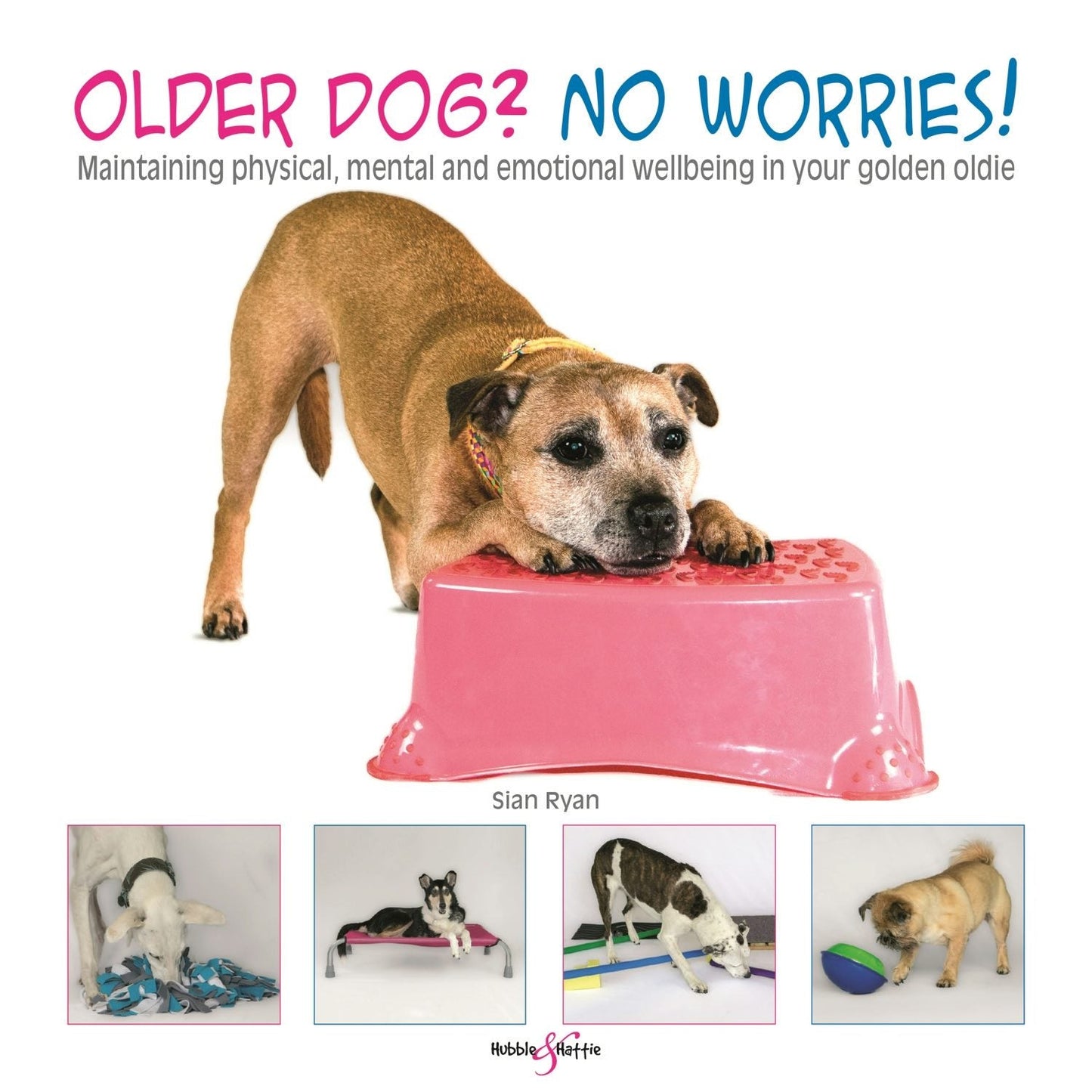 Book cover image for Older dog? No worries! ISBN: 9781787113664