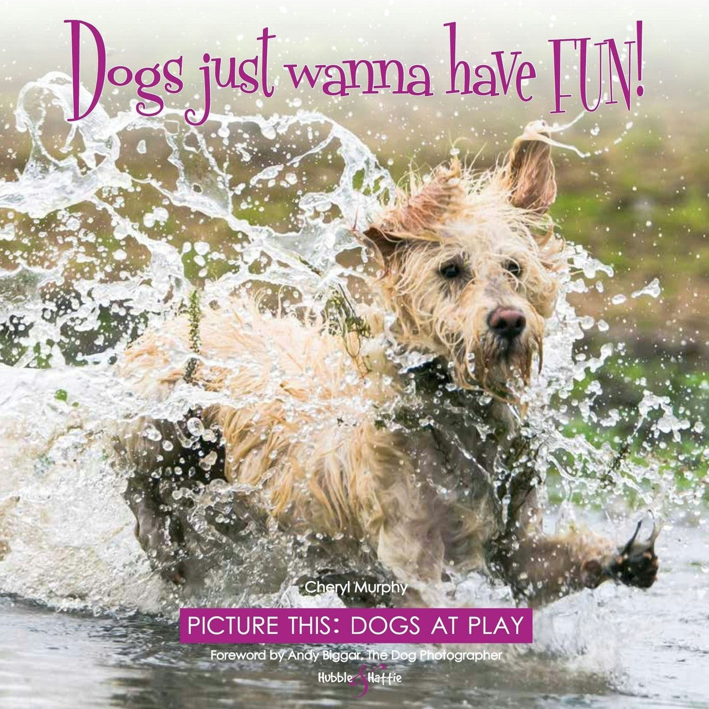 Book cover image for Dogs just wanna have FUN! ISBN: 9781787114074