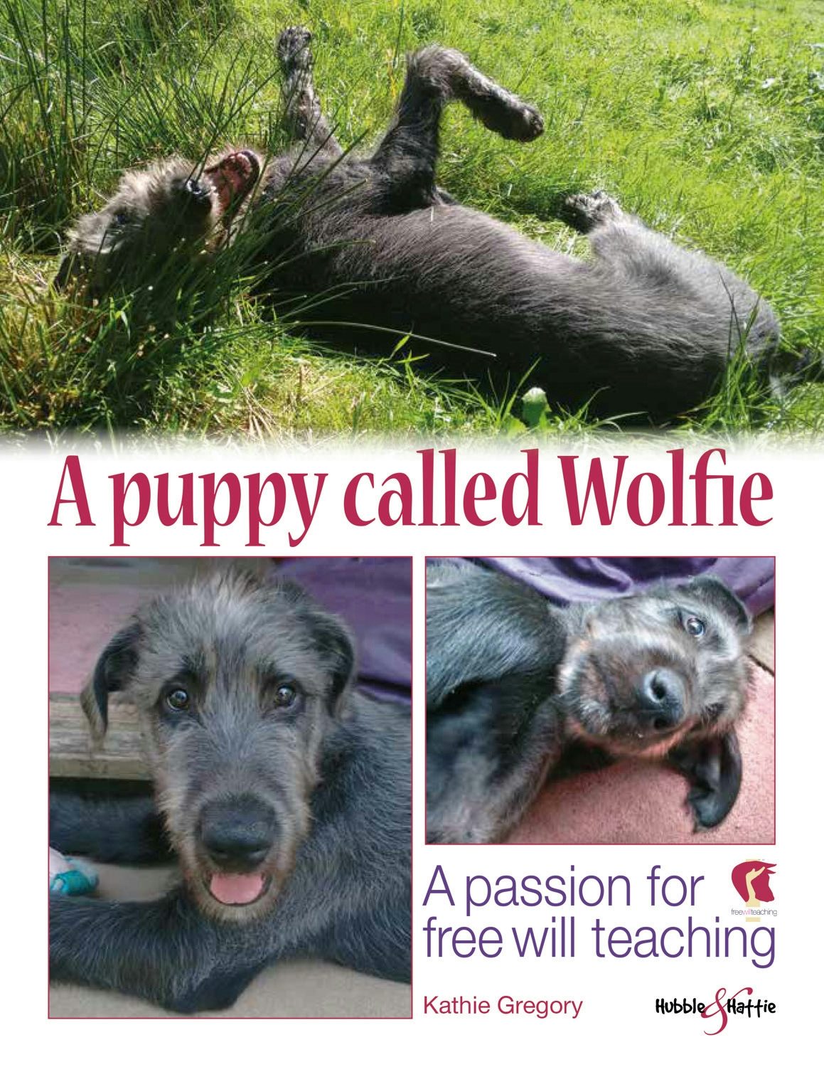 Book cover image for A puppy called Wolfie ISBN: 9781787114135