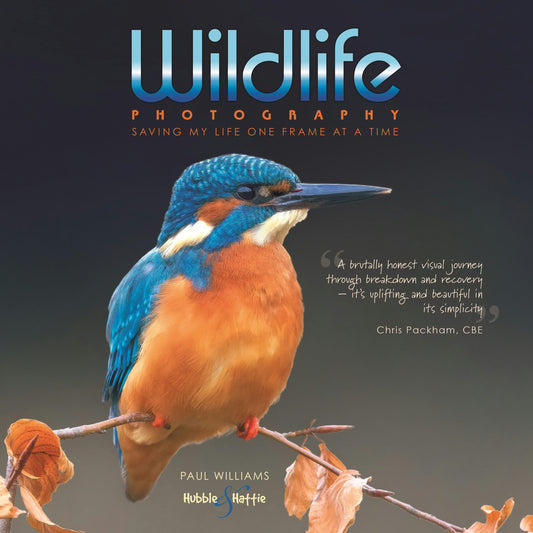 Wildlife photography