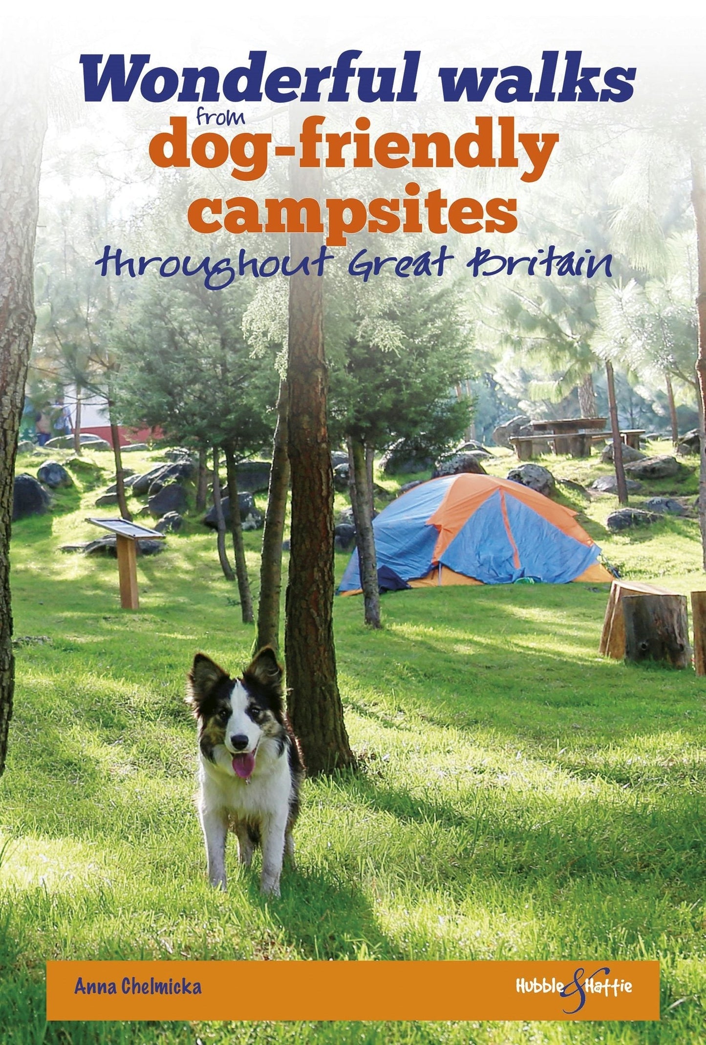 Book cover image for Wonderful walks from Dog-friendly campsites throughout Great Britain ISBN: 9781787115316